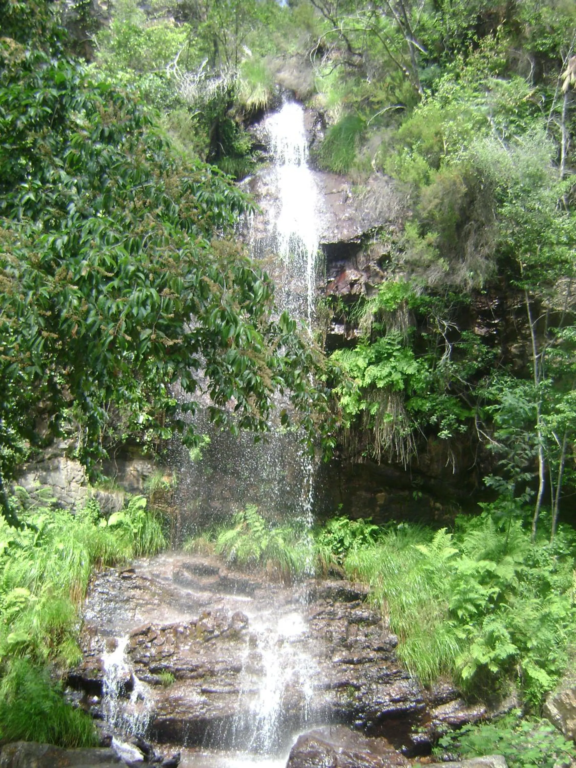 Activities in Hotel Santa Margarida