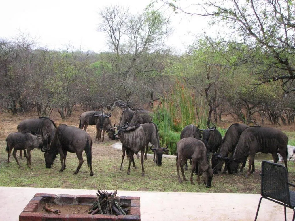 Property building in Turaco Lodge - No Loadshedding