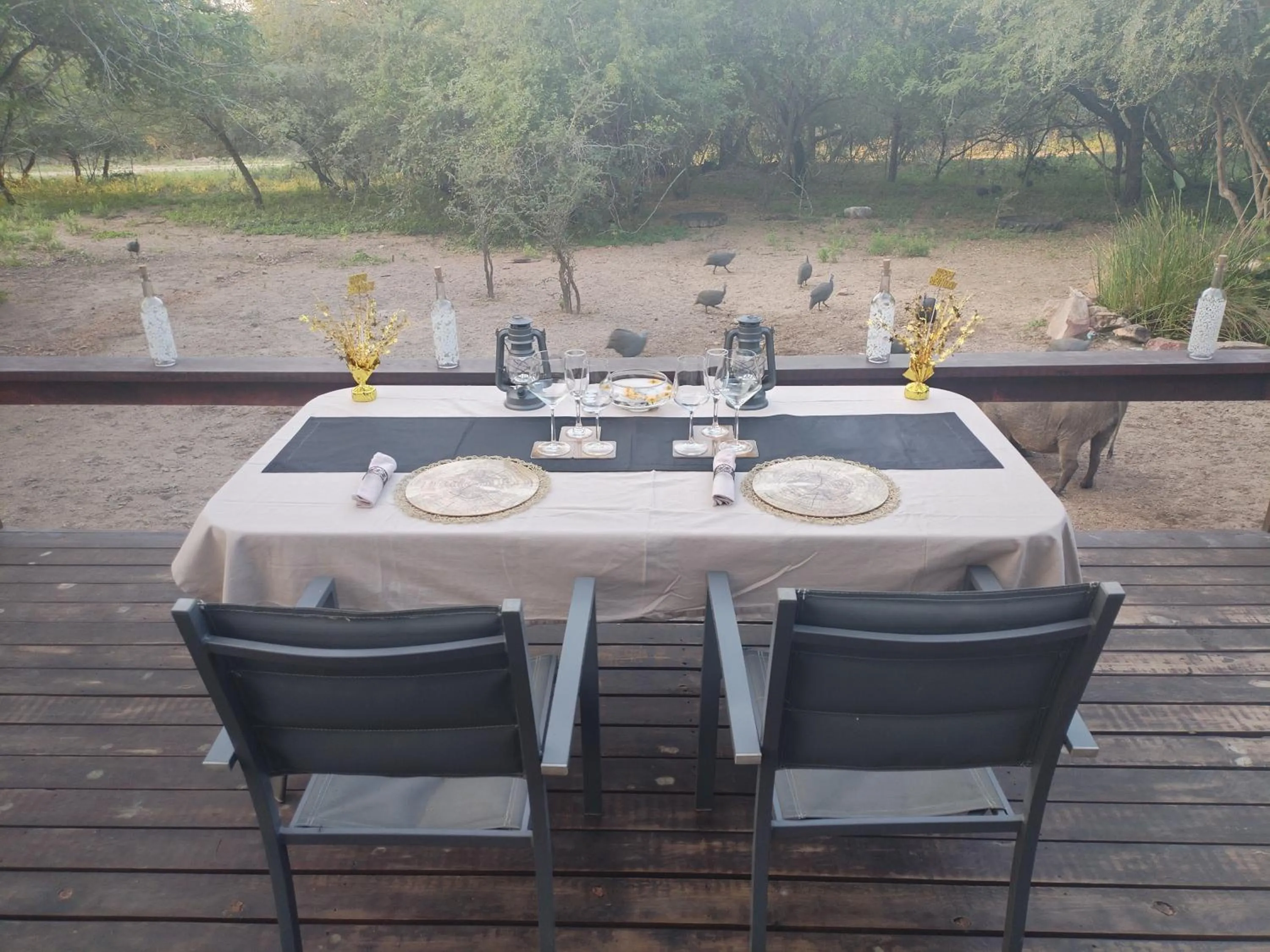 Garden view in Turaco Lodge - No Loadshedding