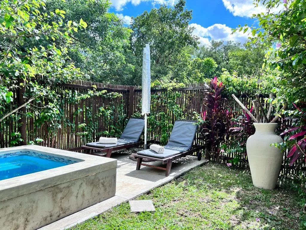 Swimming pool in Turaco Lodge - No Loadshedding