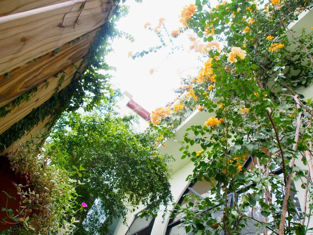 Property building in Posia 122