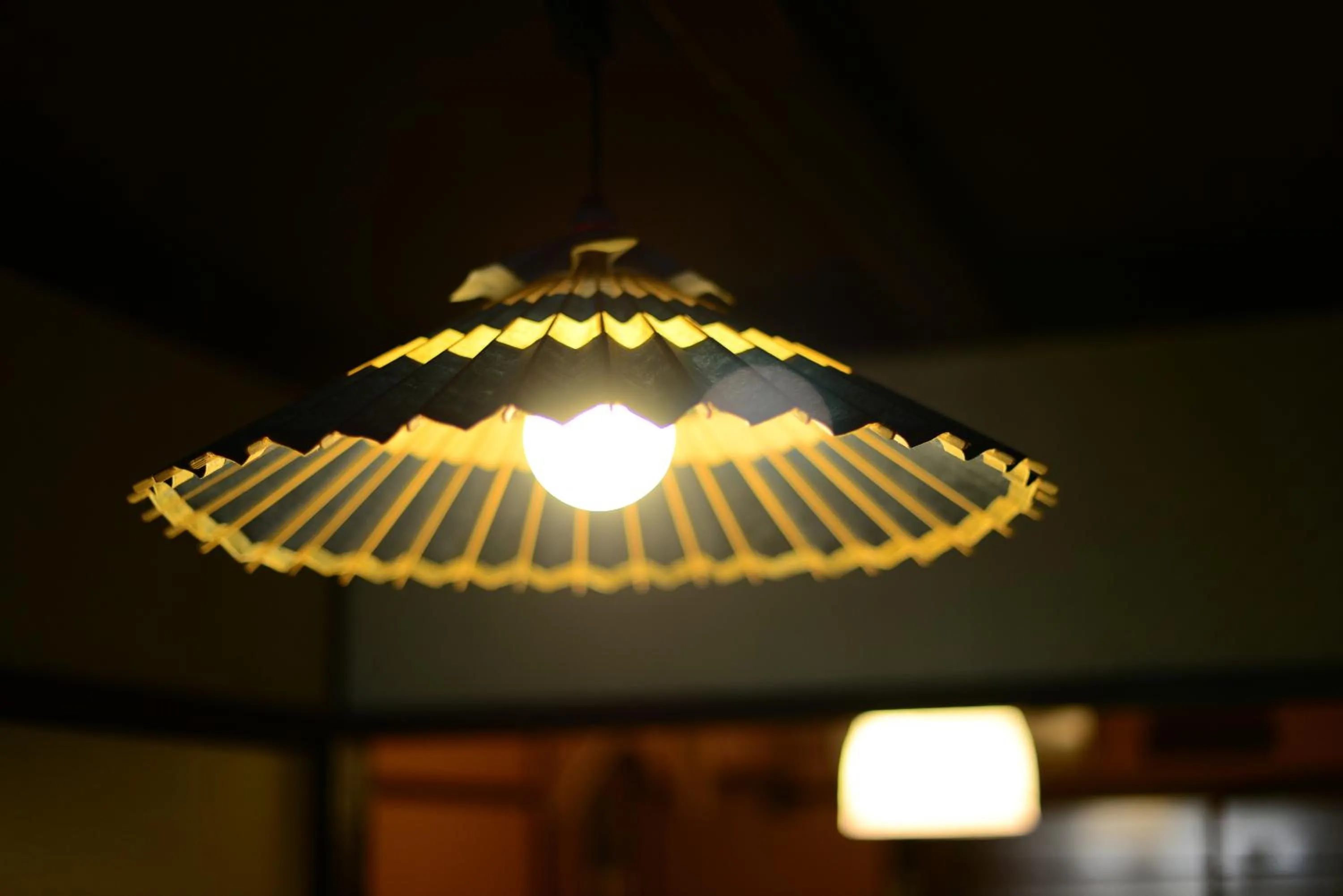 Other in Nishioji TANUKI 西大路 狸