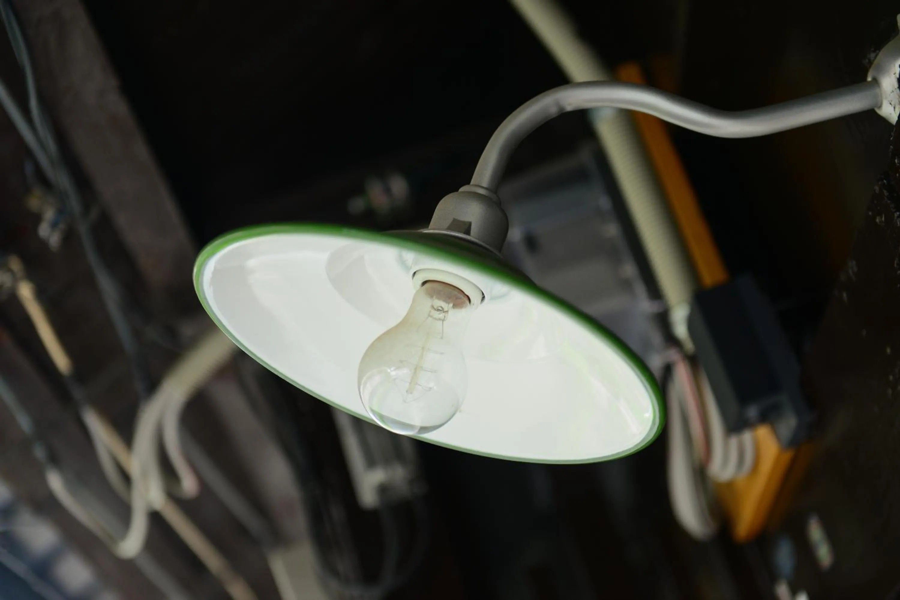 Other in Nishioji TANUKI 西大路 狸