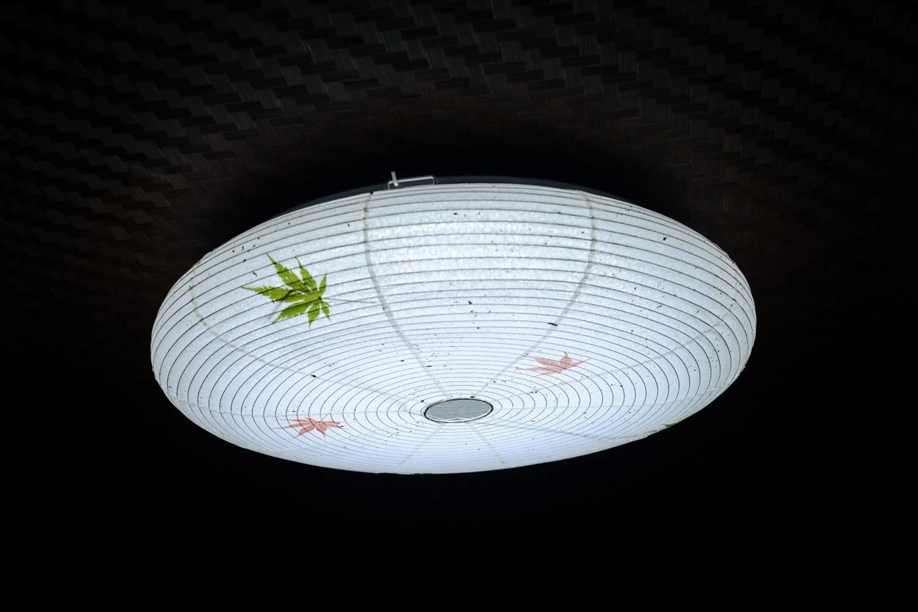 Other in Nishioji TANUKI 西大路 狸