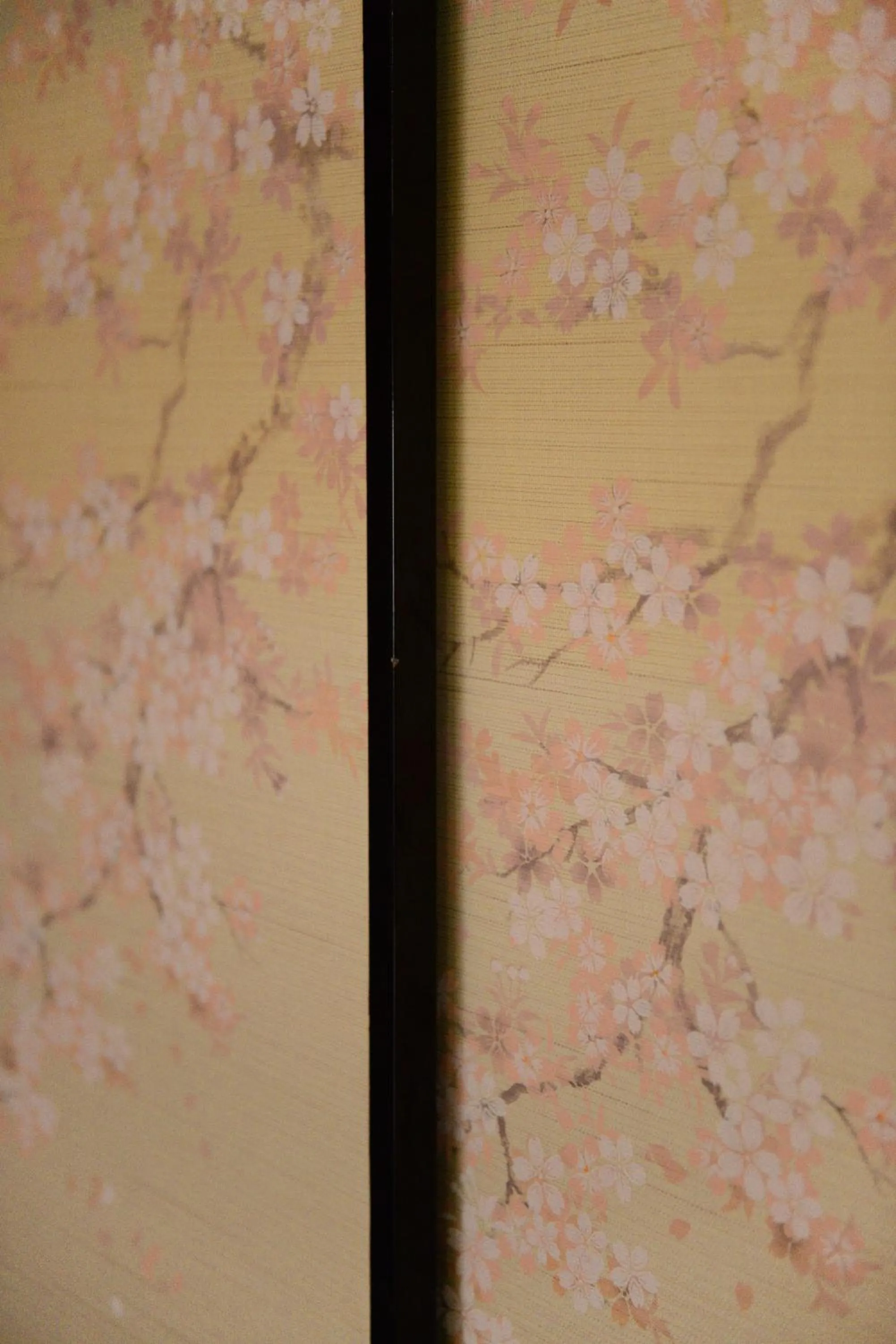 Other in Nishioji TANUKI 西大路 狸