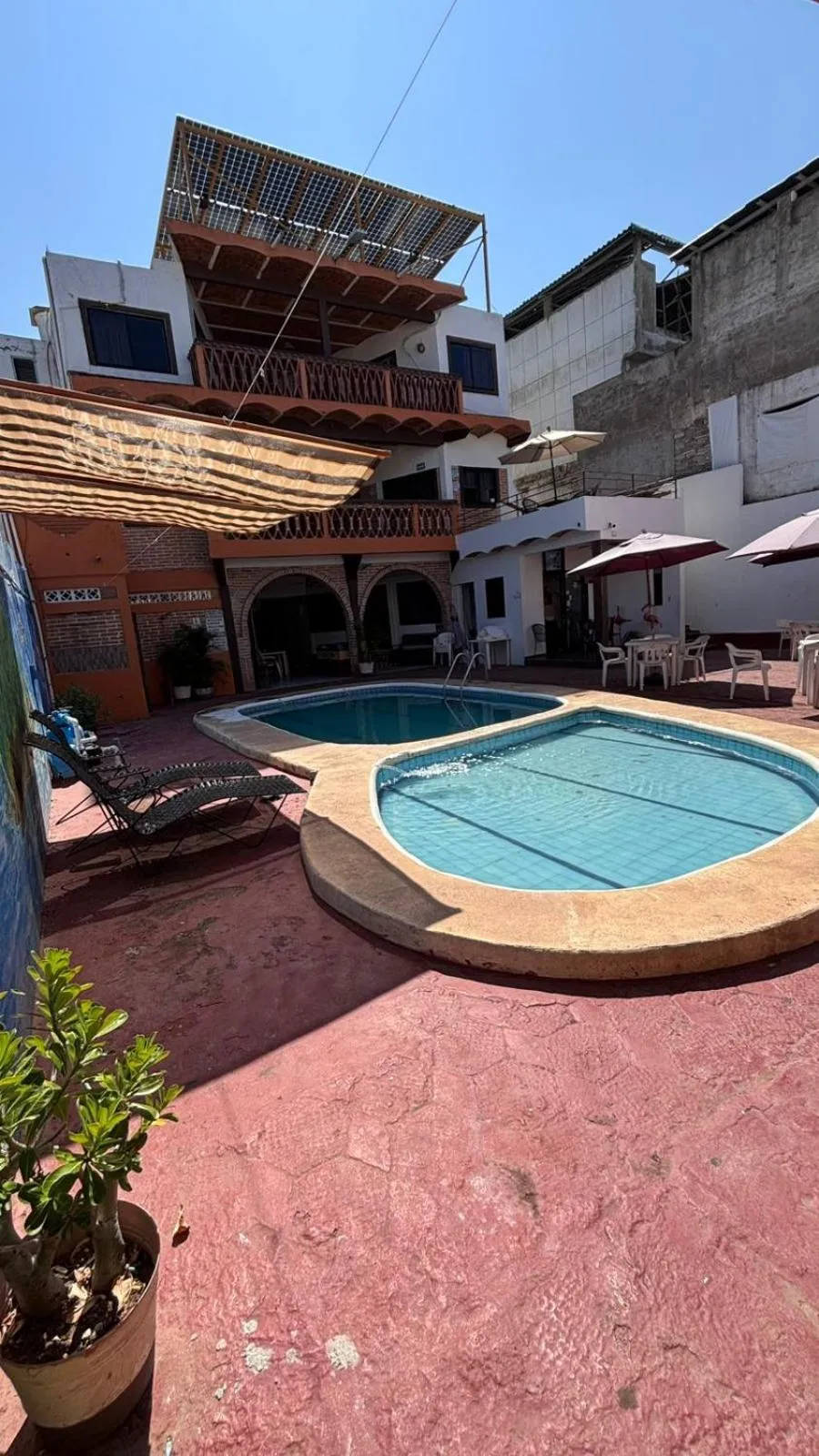 Pool view in Bungalows Flamingos