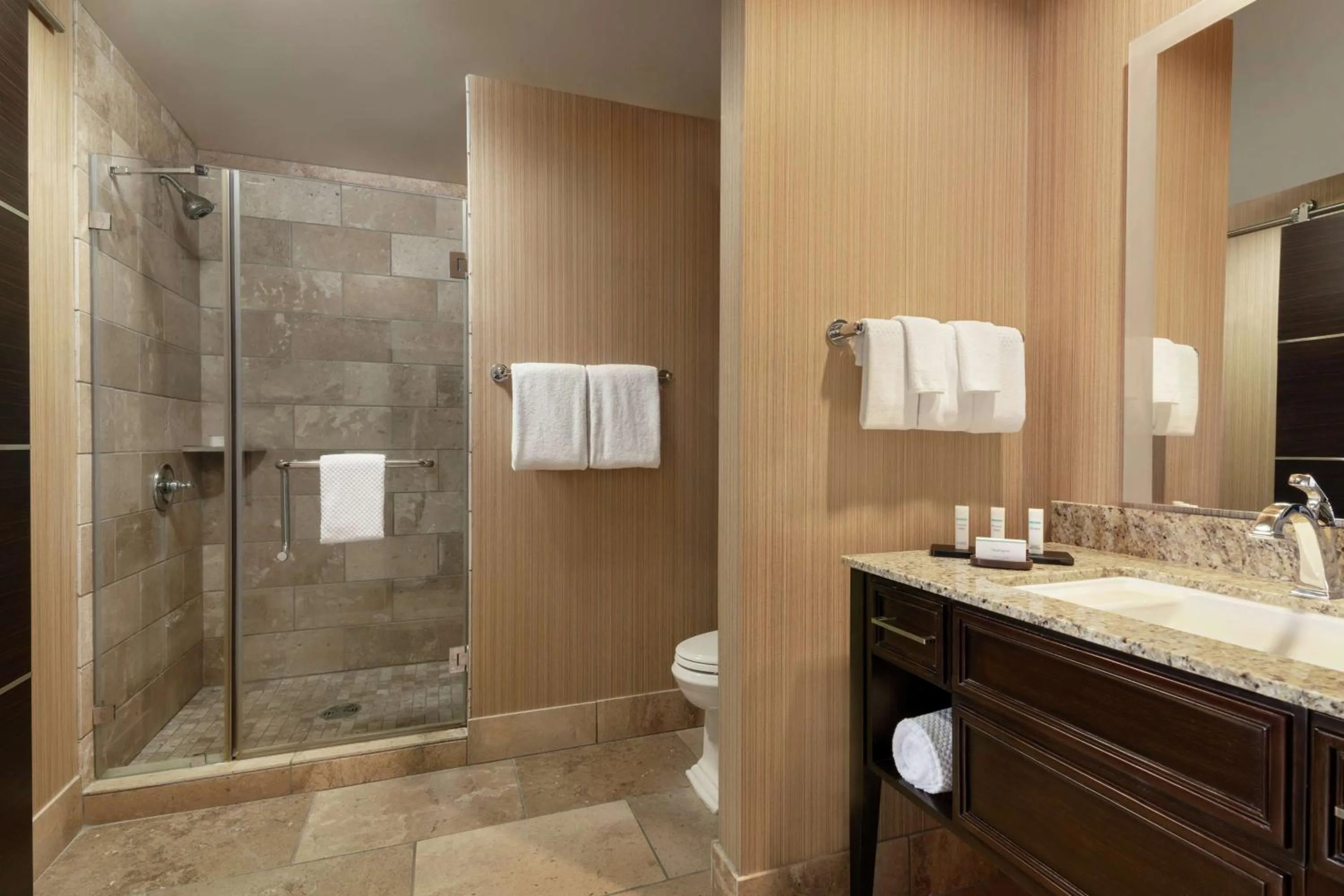 Shower in Embassy Suites by Hilton Salt Lake West Valley City