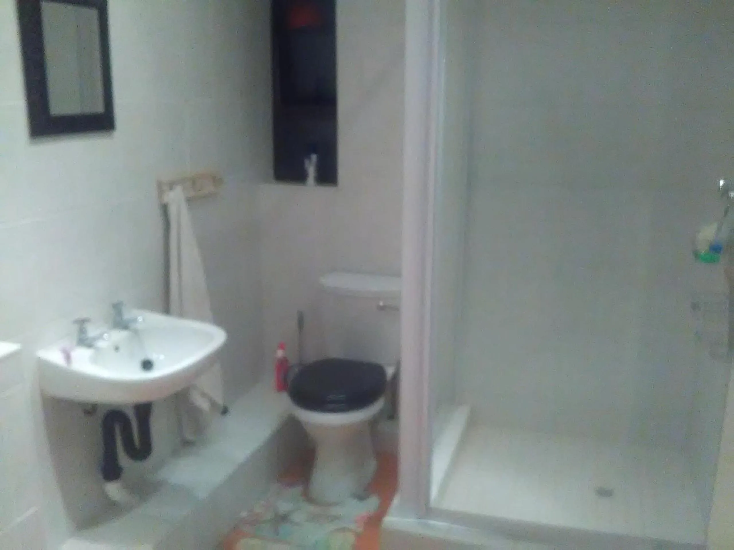 Bathroom in Thrush Nest Durban