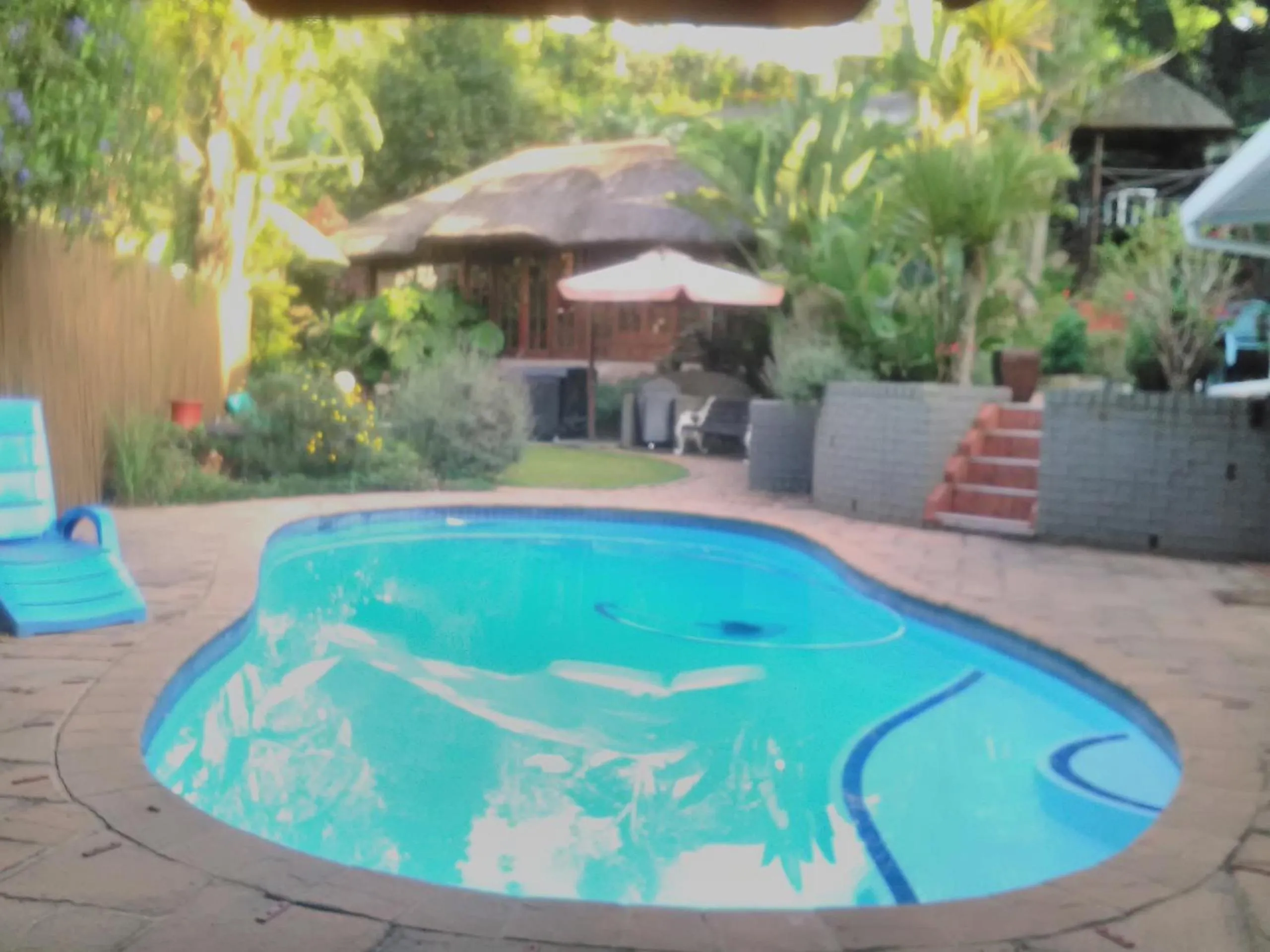Pool view in Thrush Nest Durban