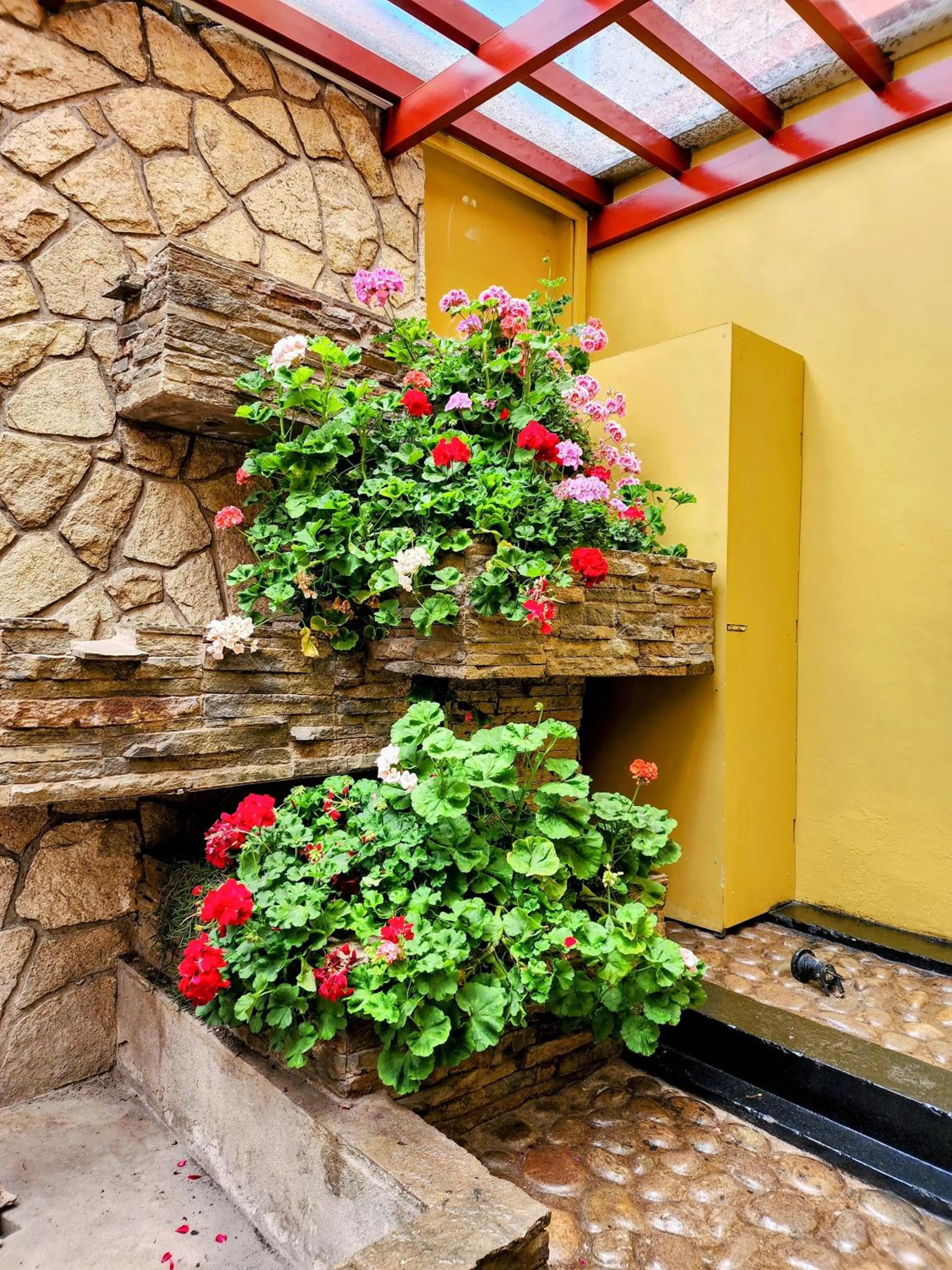 Garden in El Mariscal Cusco