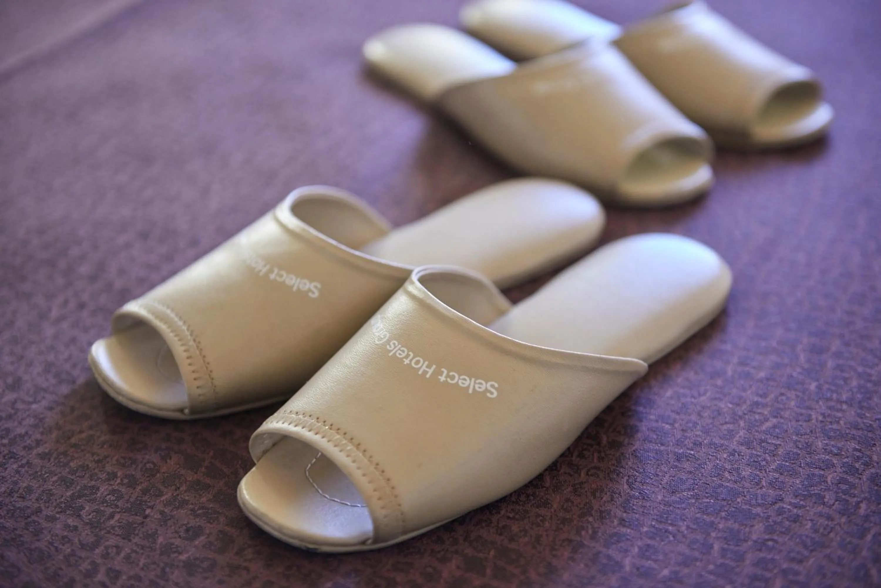 Photo of the whole room in Hotel Select Inn Isesaki