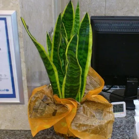 Decorative detail in Select Inn Nagoya Iwakura Eki-mae