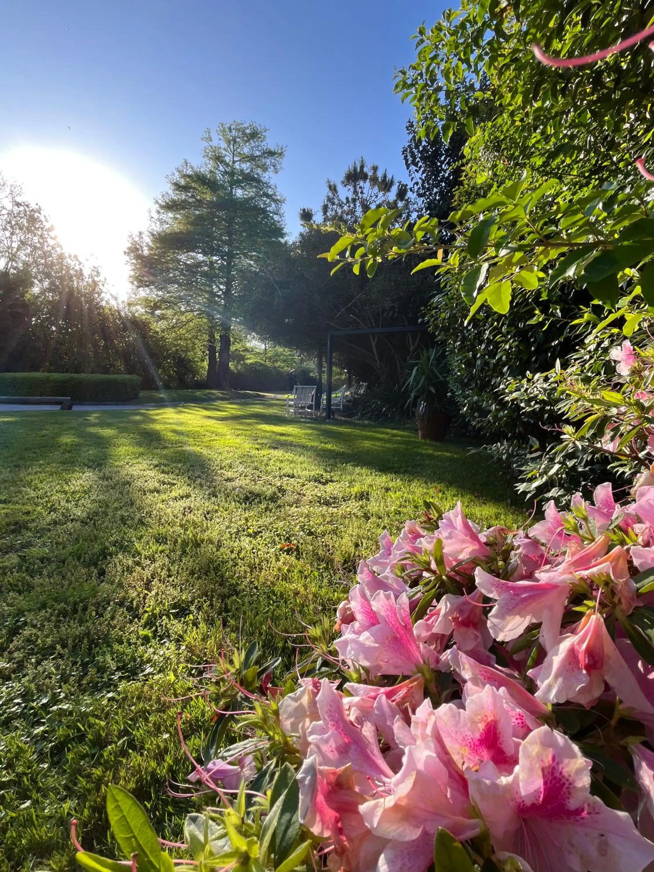 Garden in Arsamici Hotel