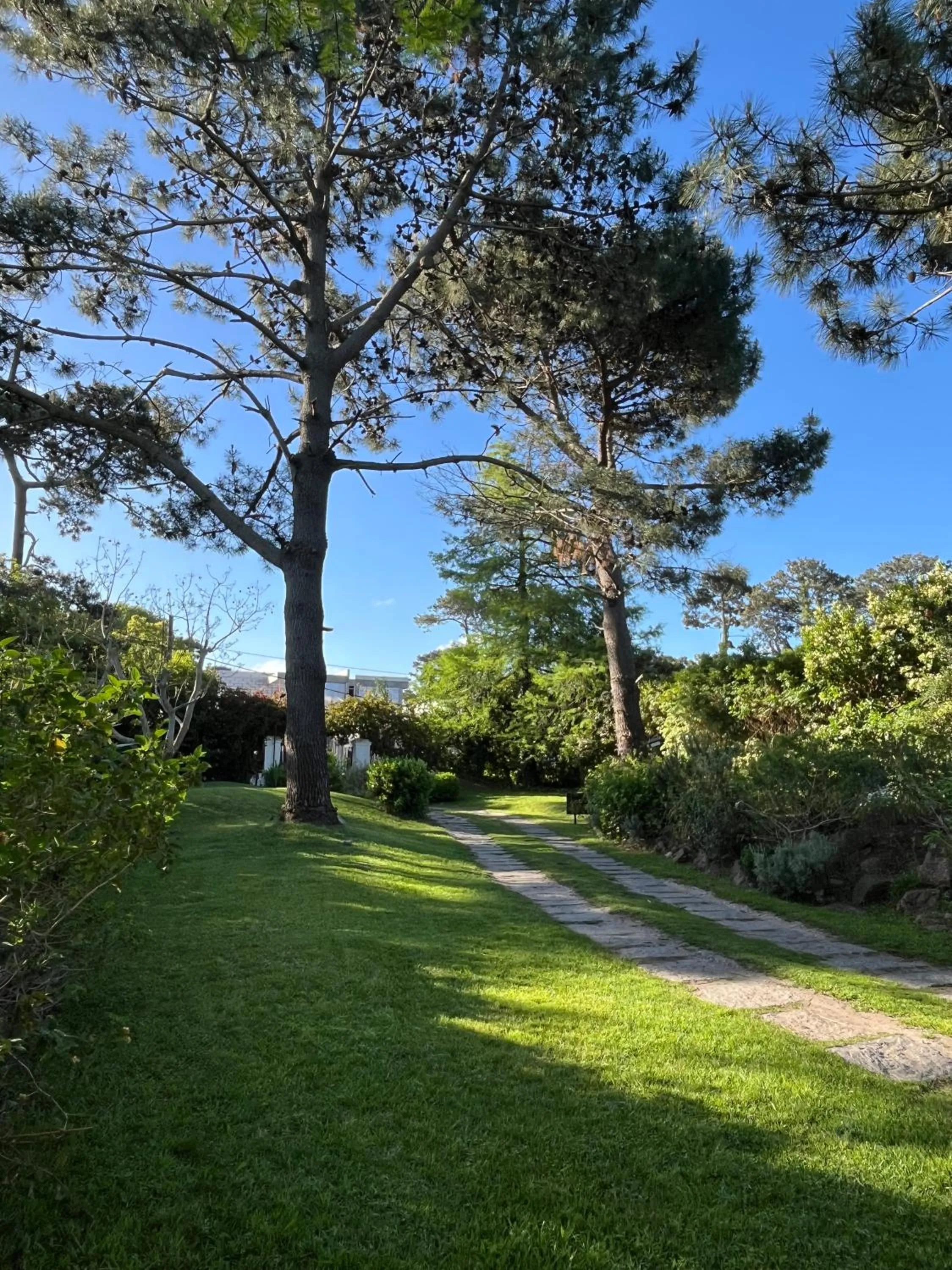 Garden in Arsamici Hotel