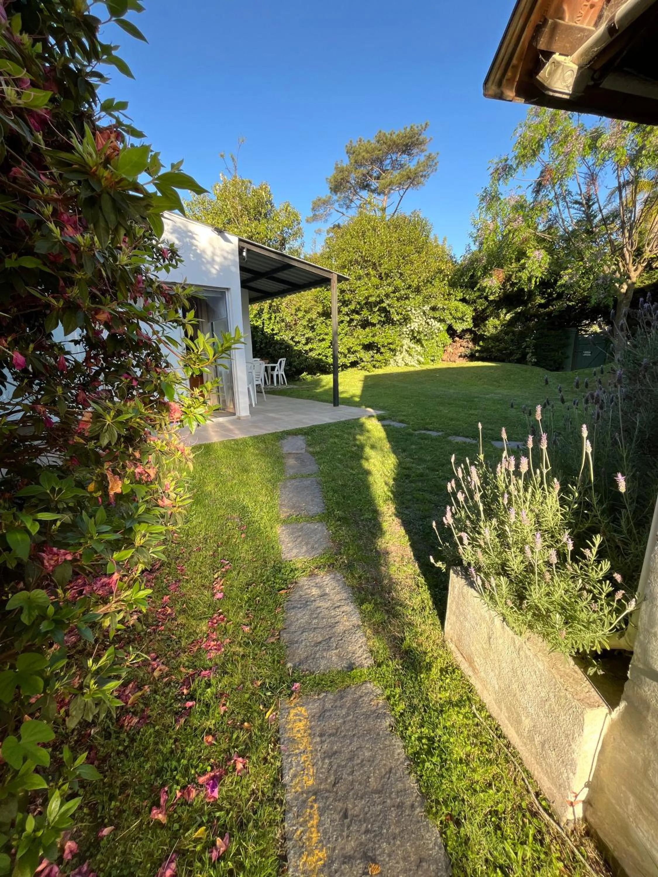 Patio in Arsamici Hotel