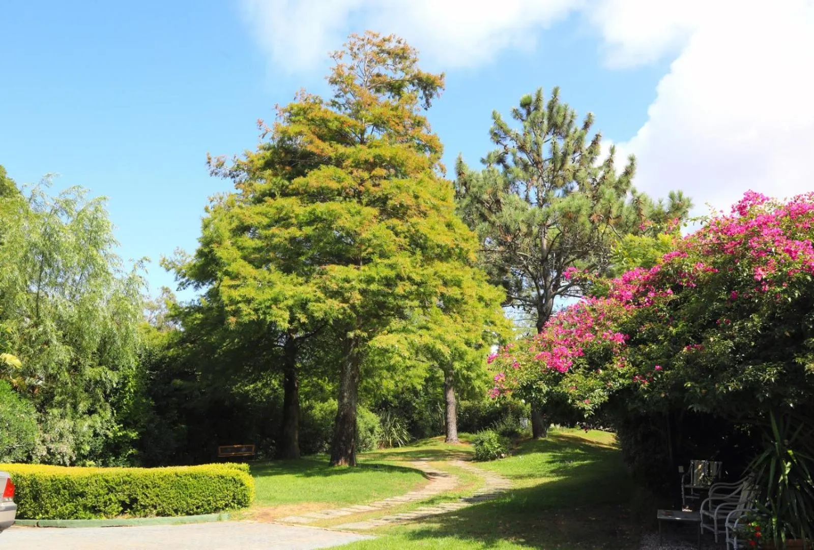 Garden in Arsamici Hotel