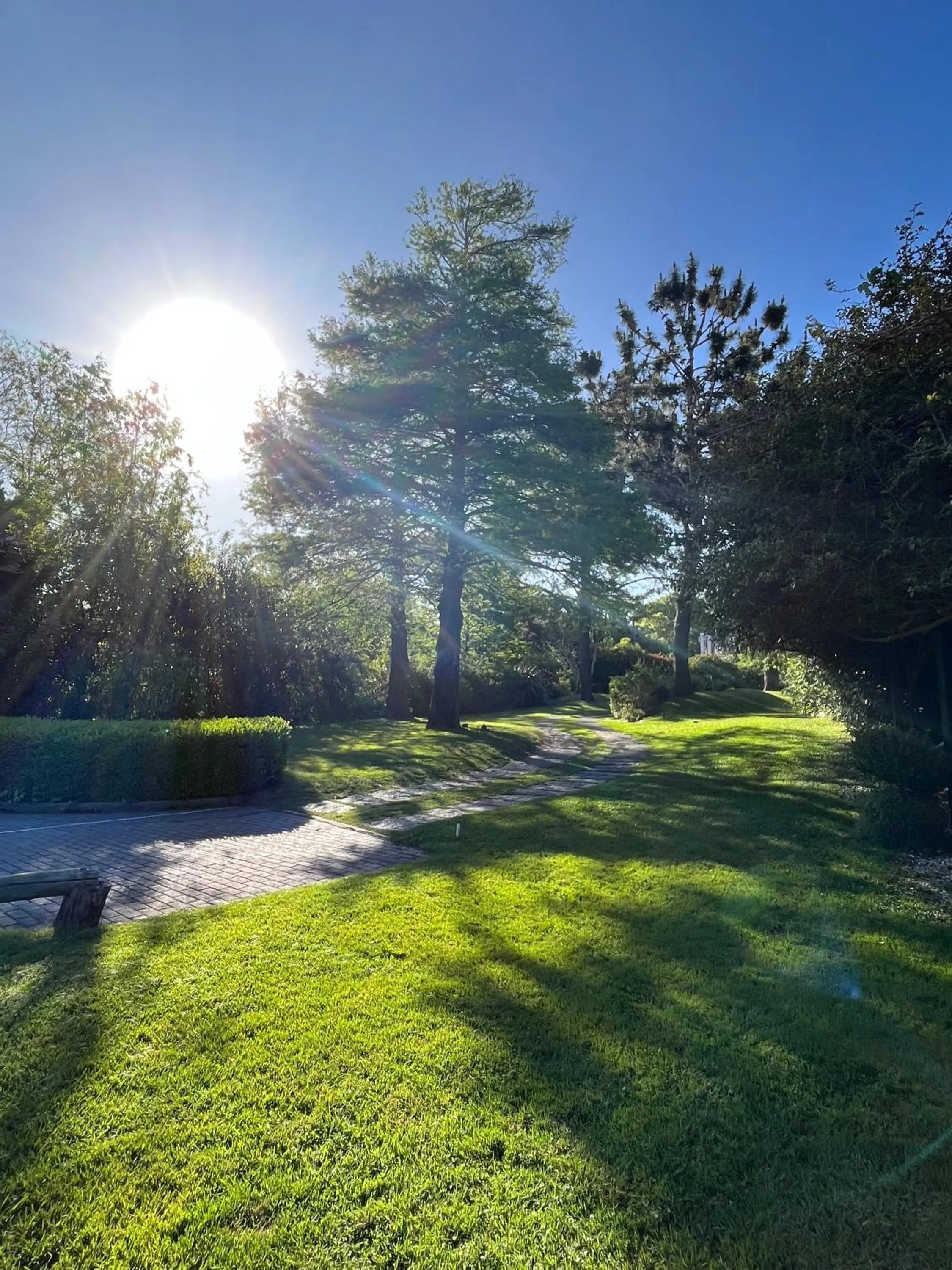 Garden in Arsamici Hotel