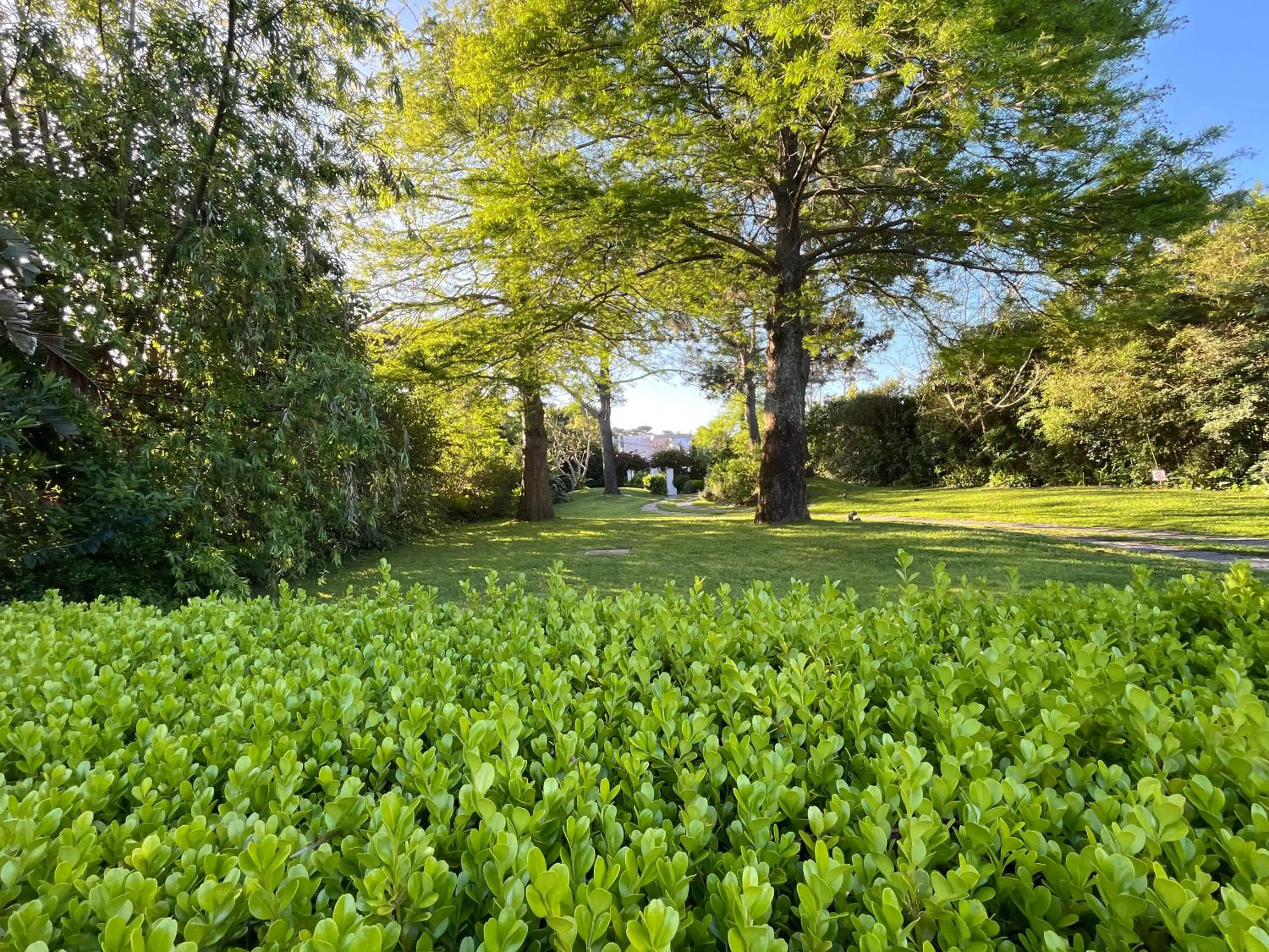 Garden in Arsamici Hotel