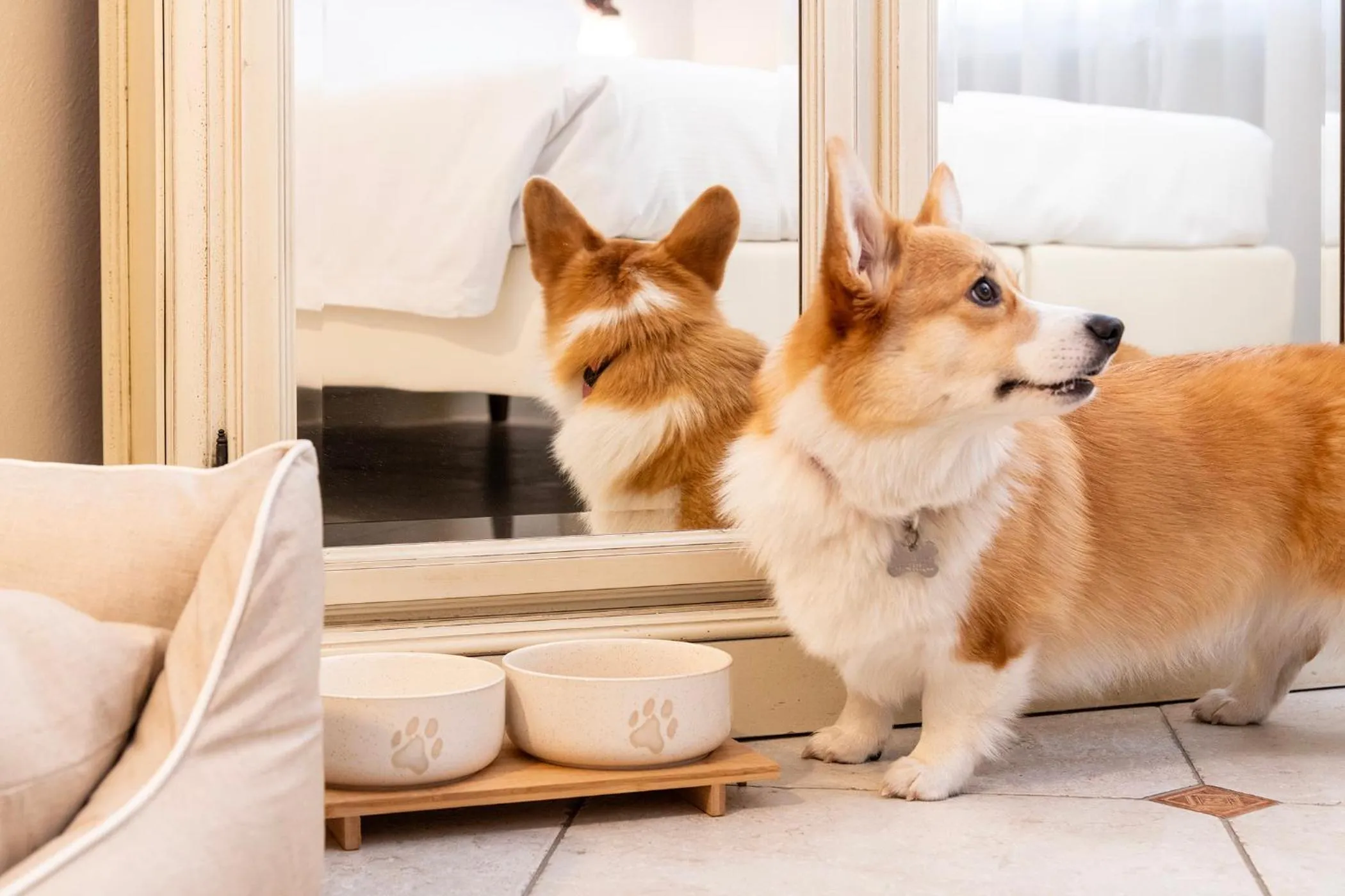 Animals in Majestic Toscanelli (centro storico)