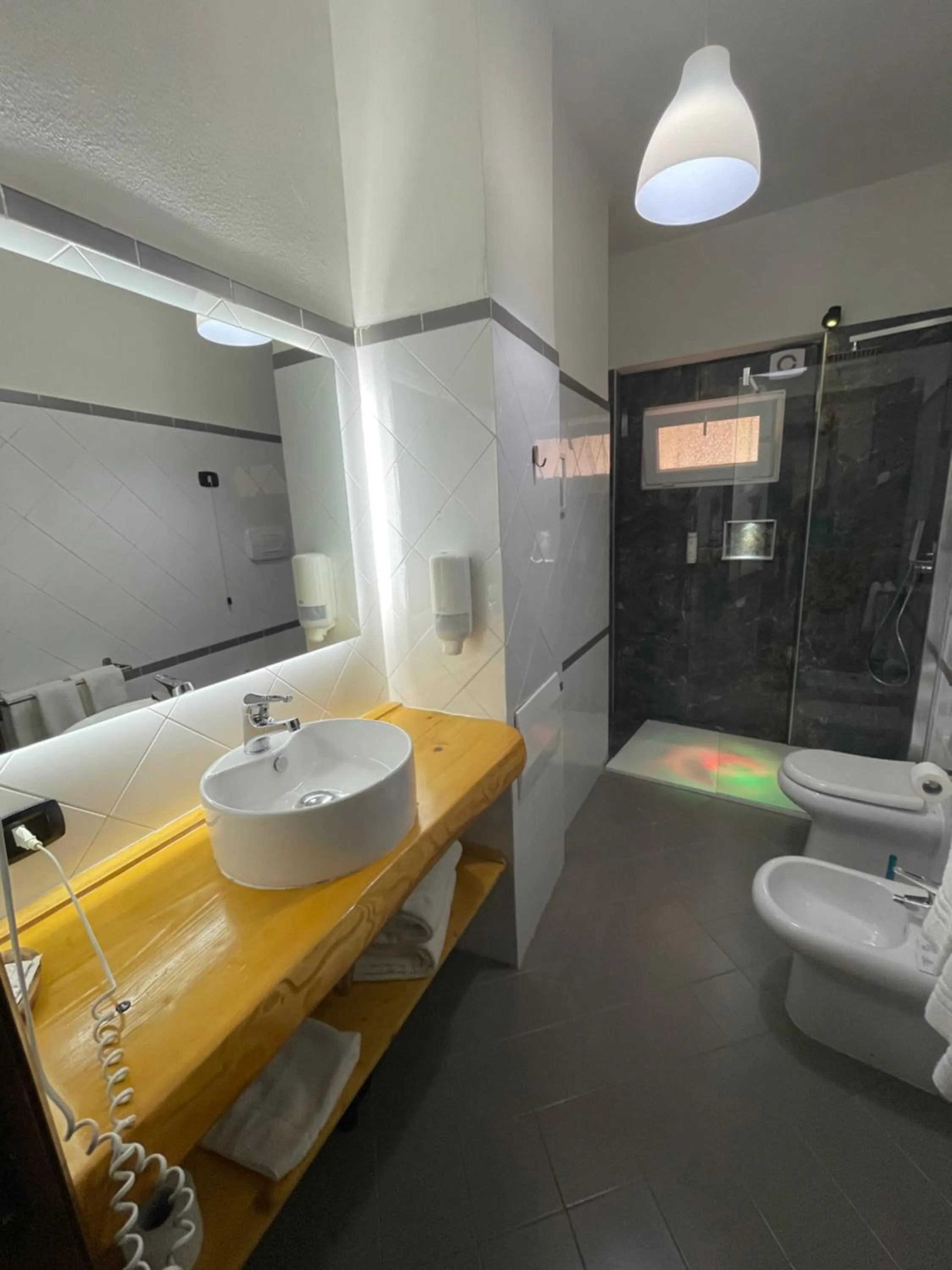 Shower in Dante Rooms