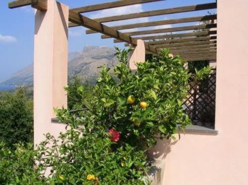 Facade/entrance in Hotel Martino
