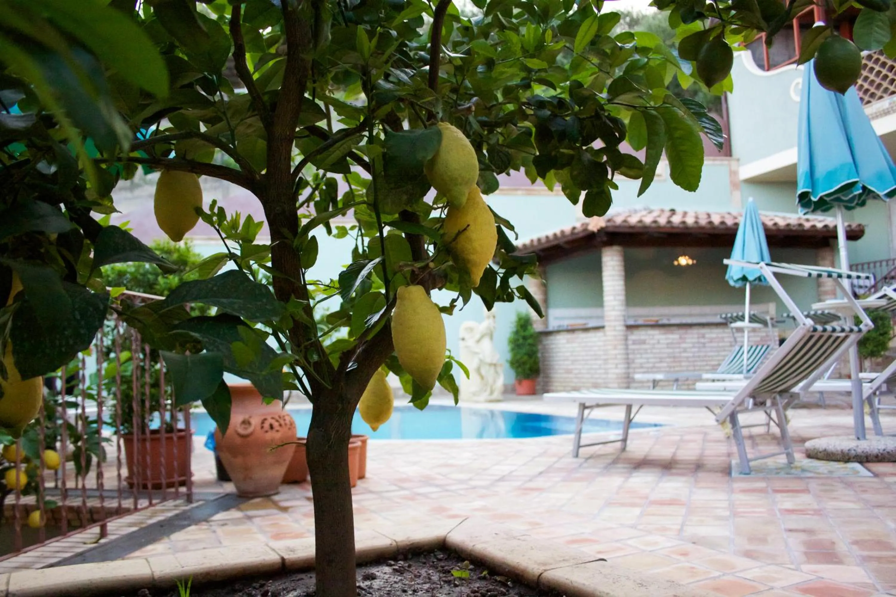Pool view in Villa Cristina