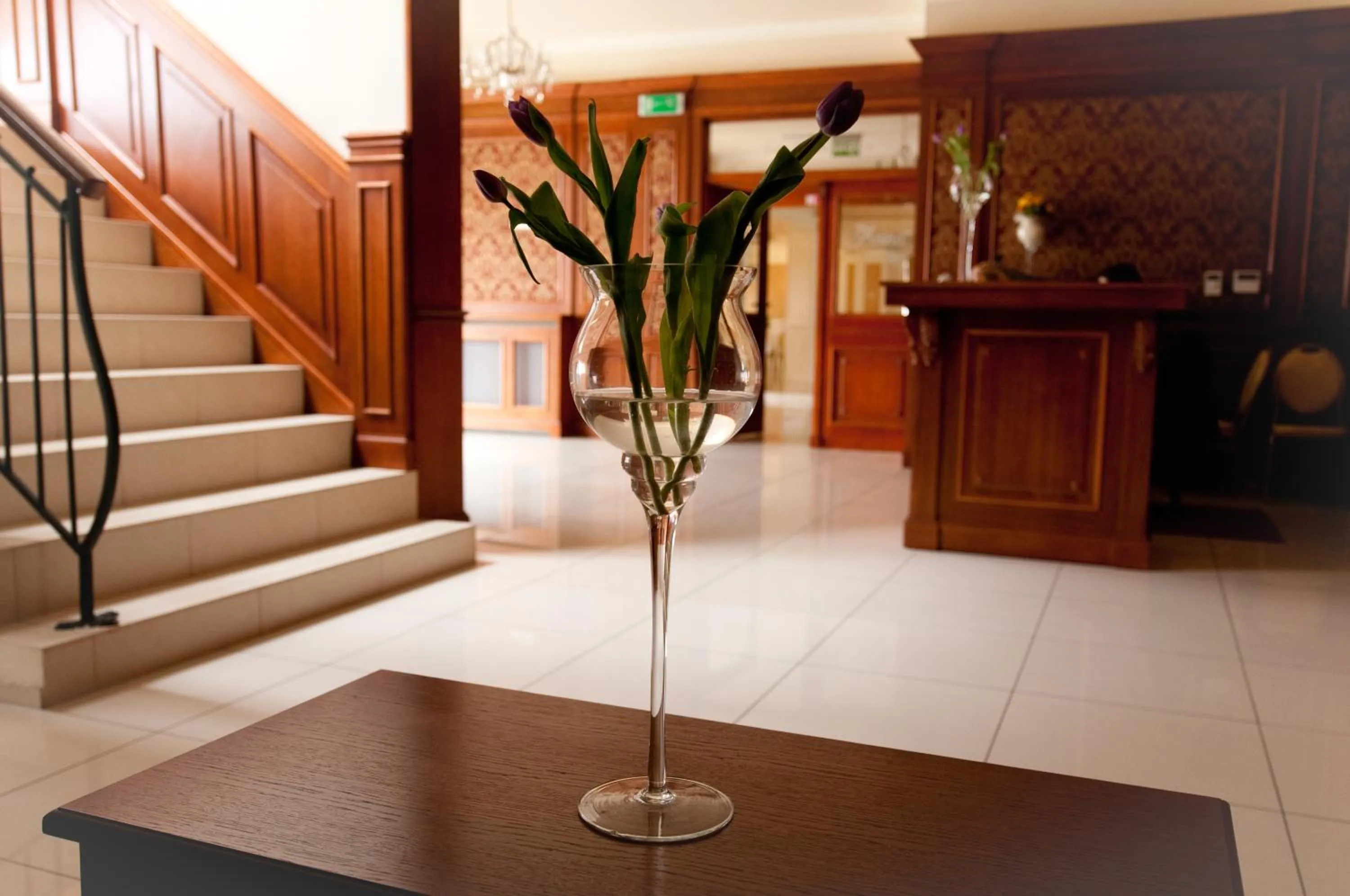 Lobby or reception in Villa Anna