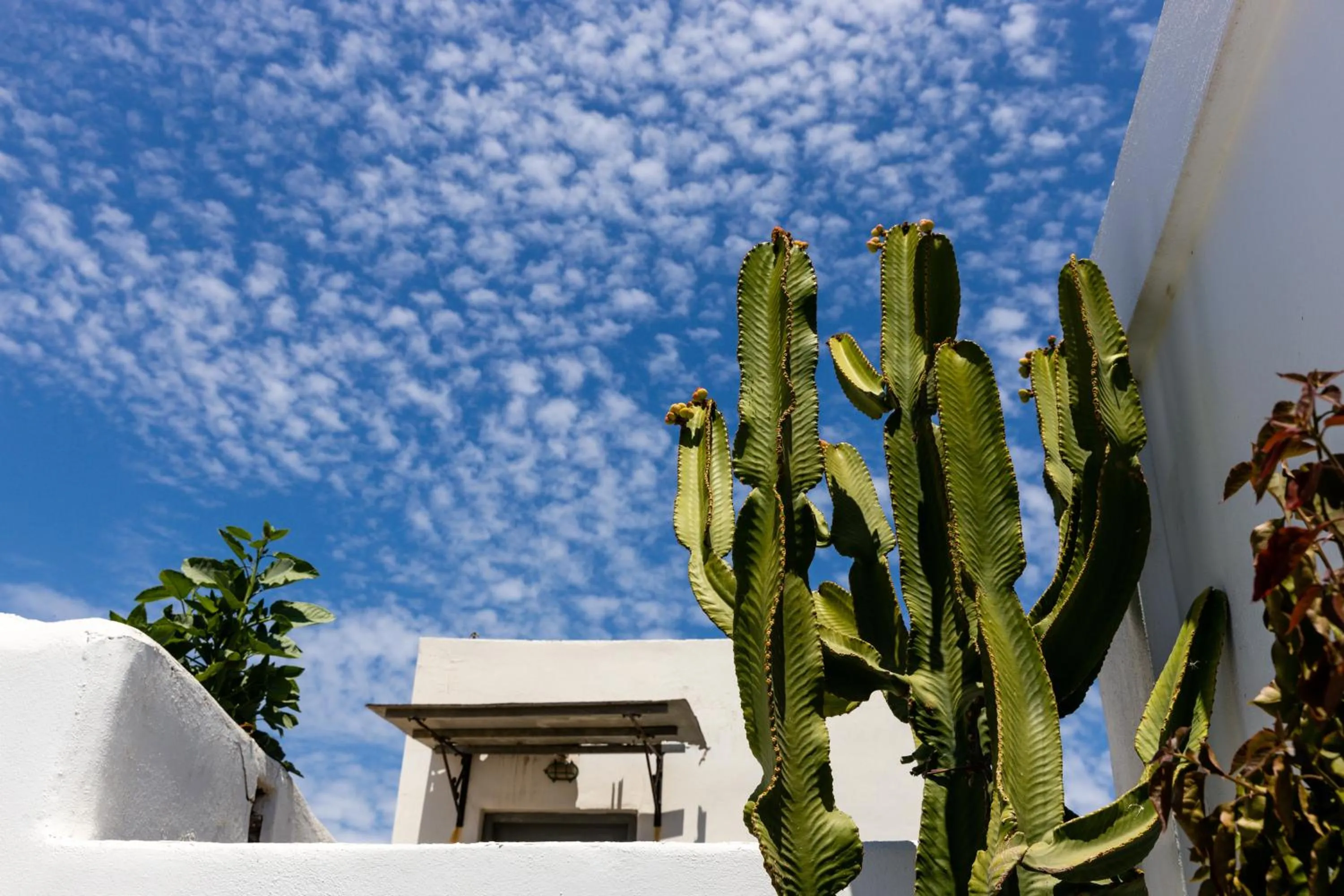 View (from property/room) in Hotel Dina