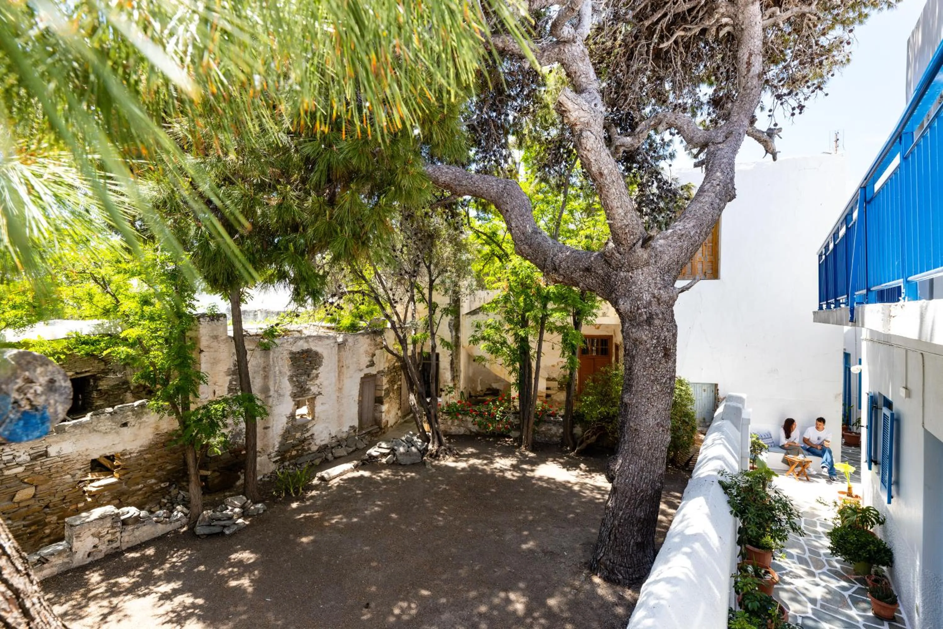 Facade/entrance in Hotel Dina