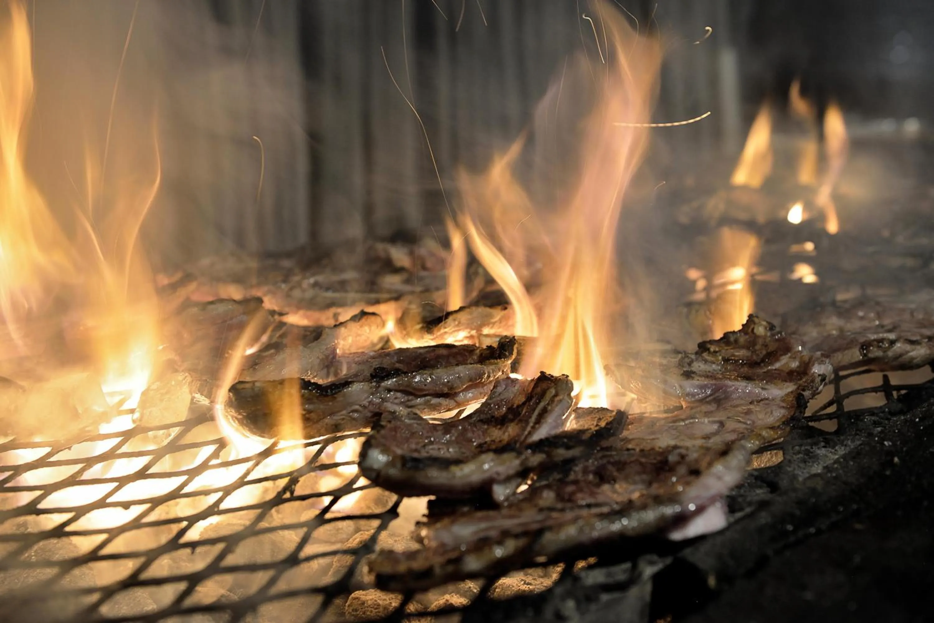 Restaurant/places to eat in Bakubung Bush Lodge