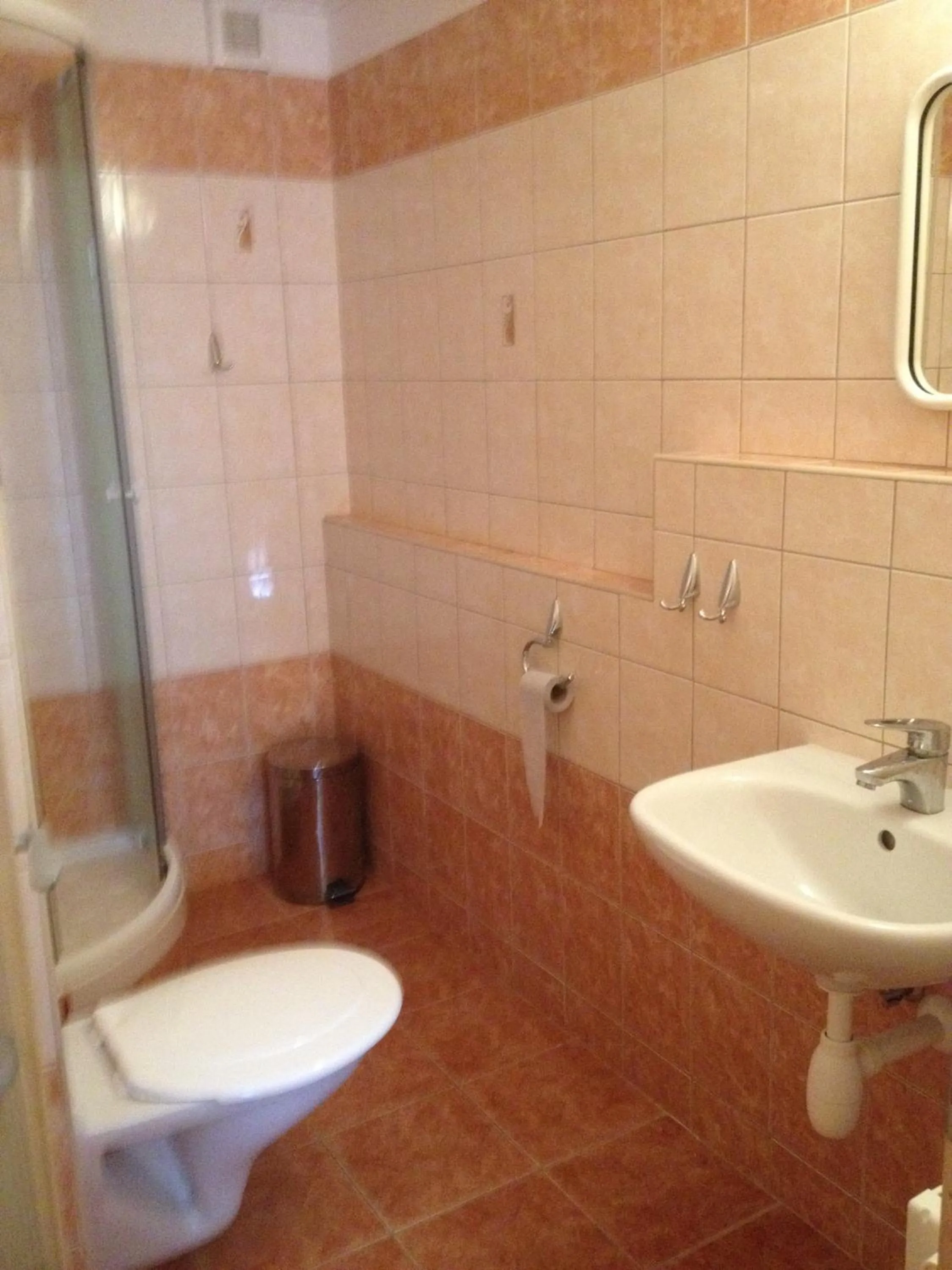 Shower in Hotel Pod Stráží