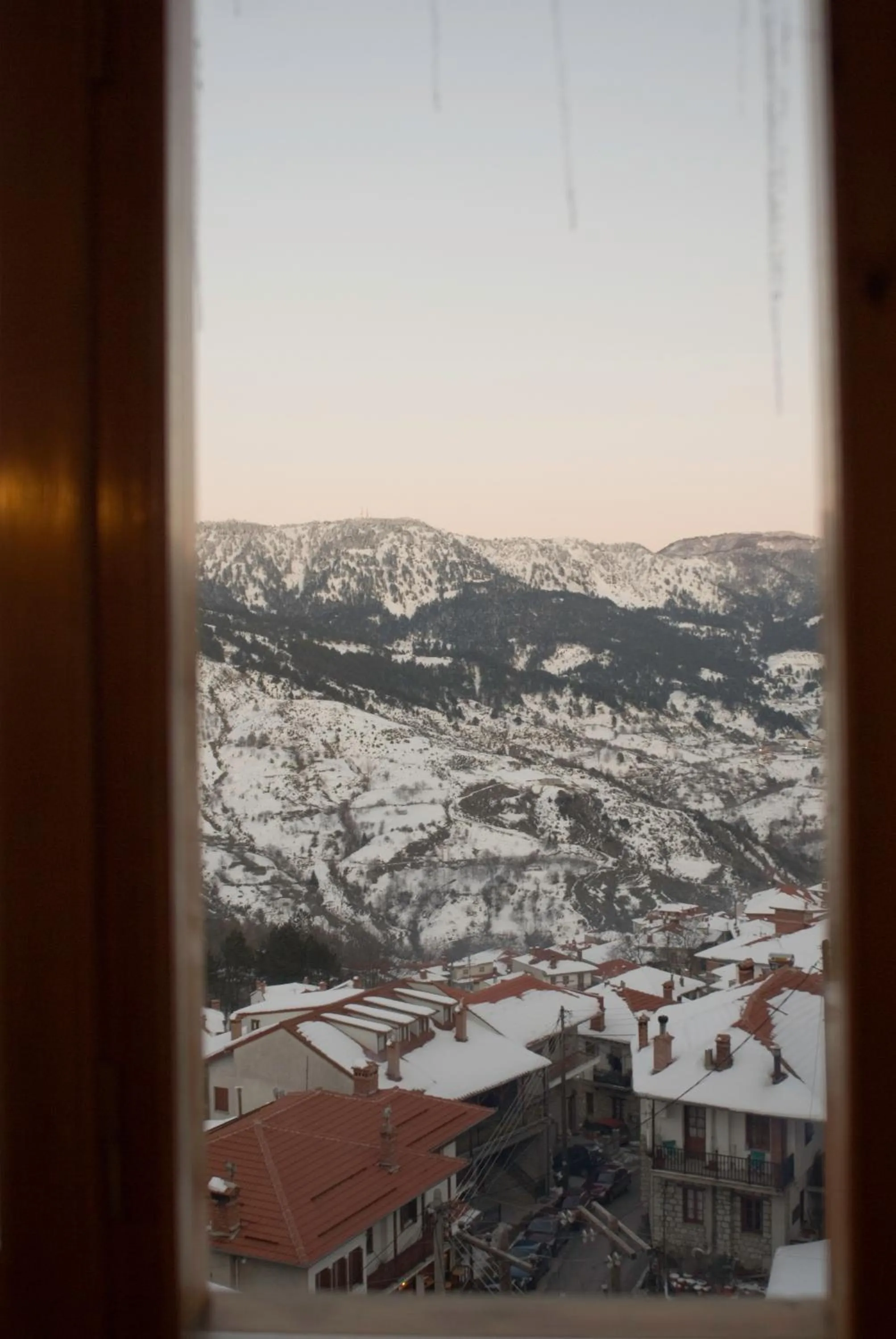 View (from property/room) in Asteri Metsovou