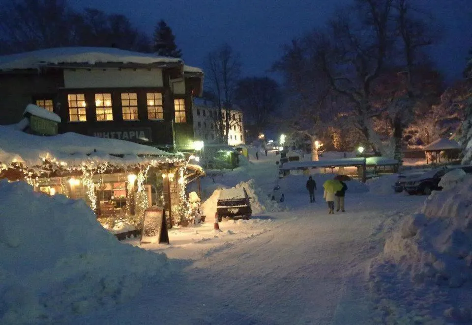 Facade/entrance in Asteri Metsovou