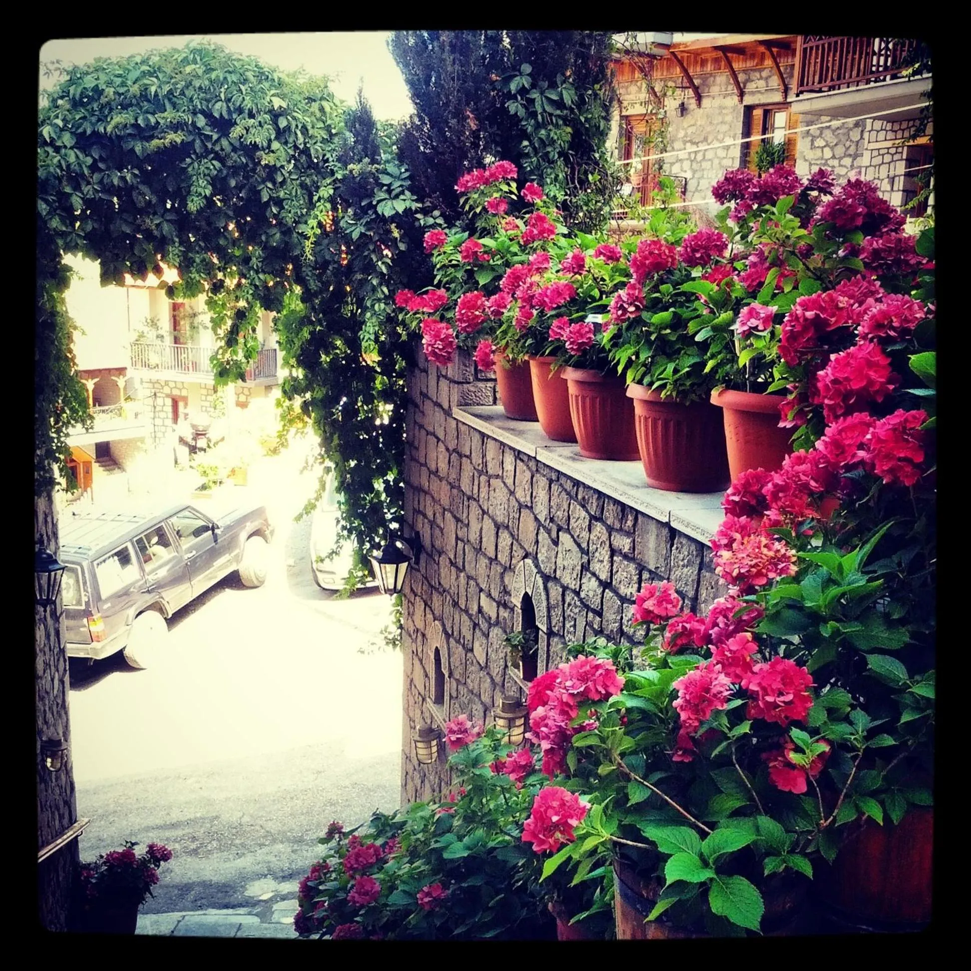 Facade/entrance in Asteri Metsovou