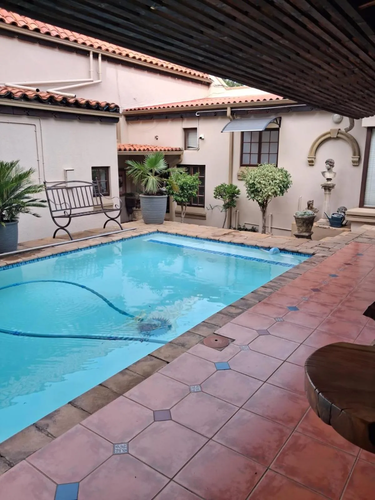 Swimming pool in Bohemian Guesthouse - Pretoria