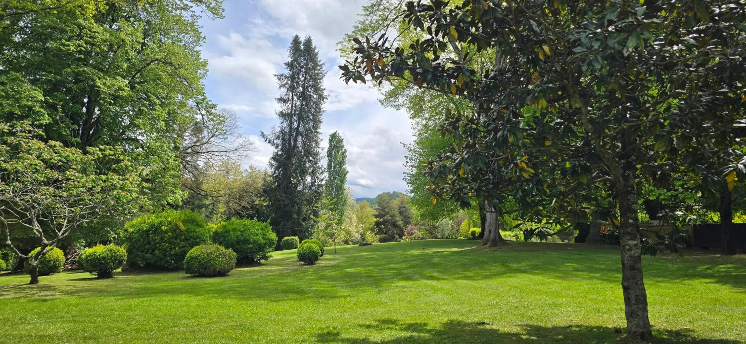 Garden in Hotel Logis - Chateau de Beauregard