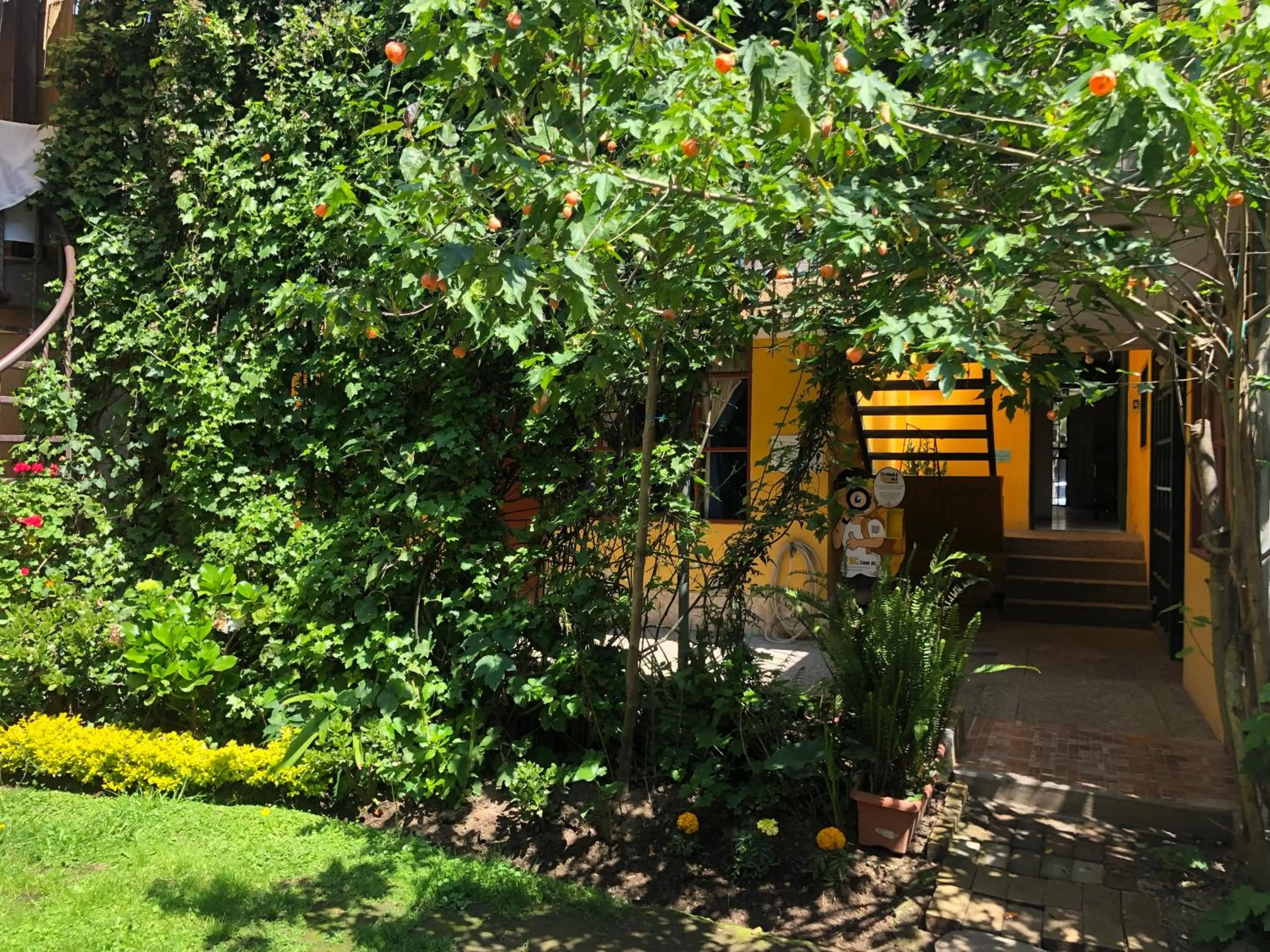 Garden in Hostal Alcala