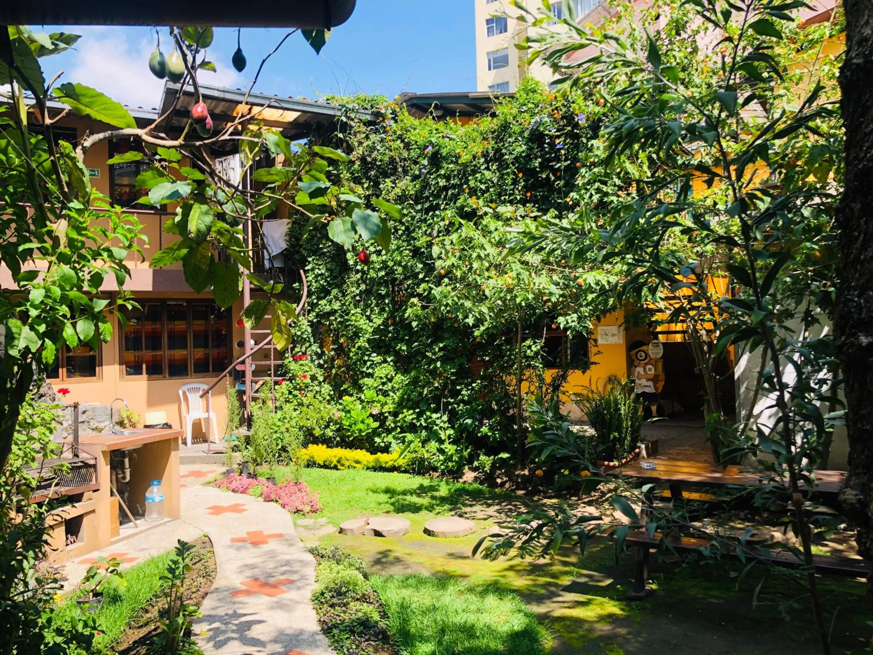 Garden in Hostal Alcala