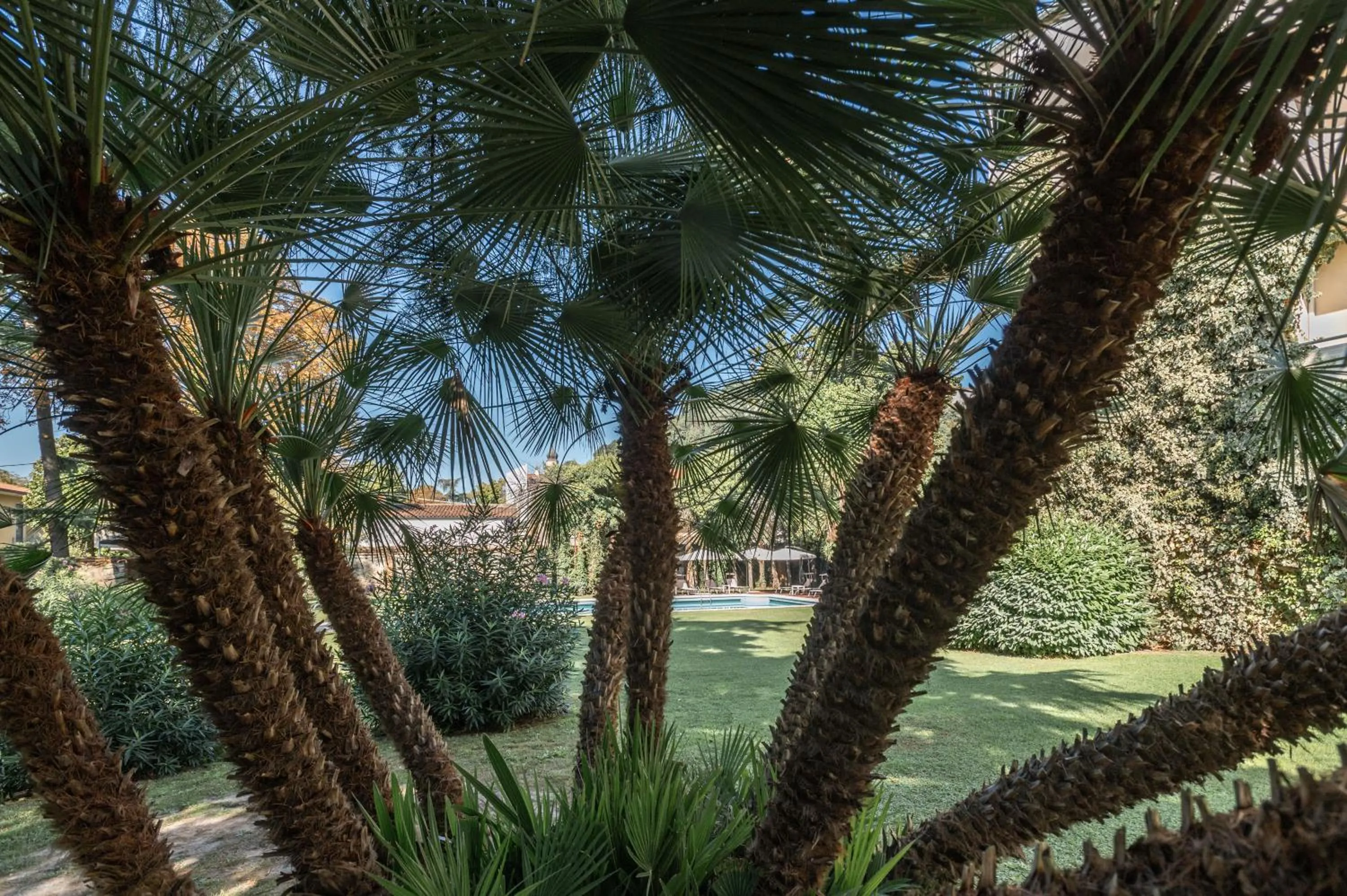 Garden in Blue Dream Hotel