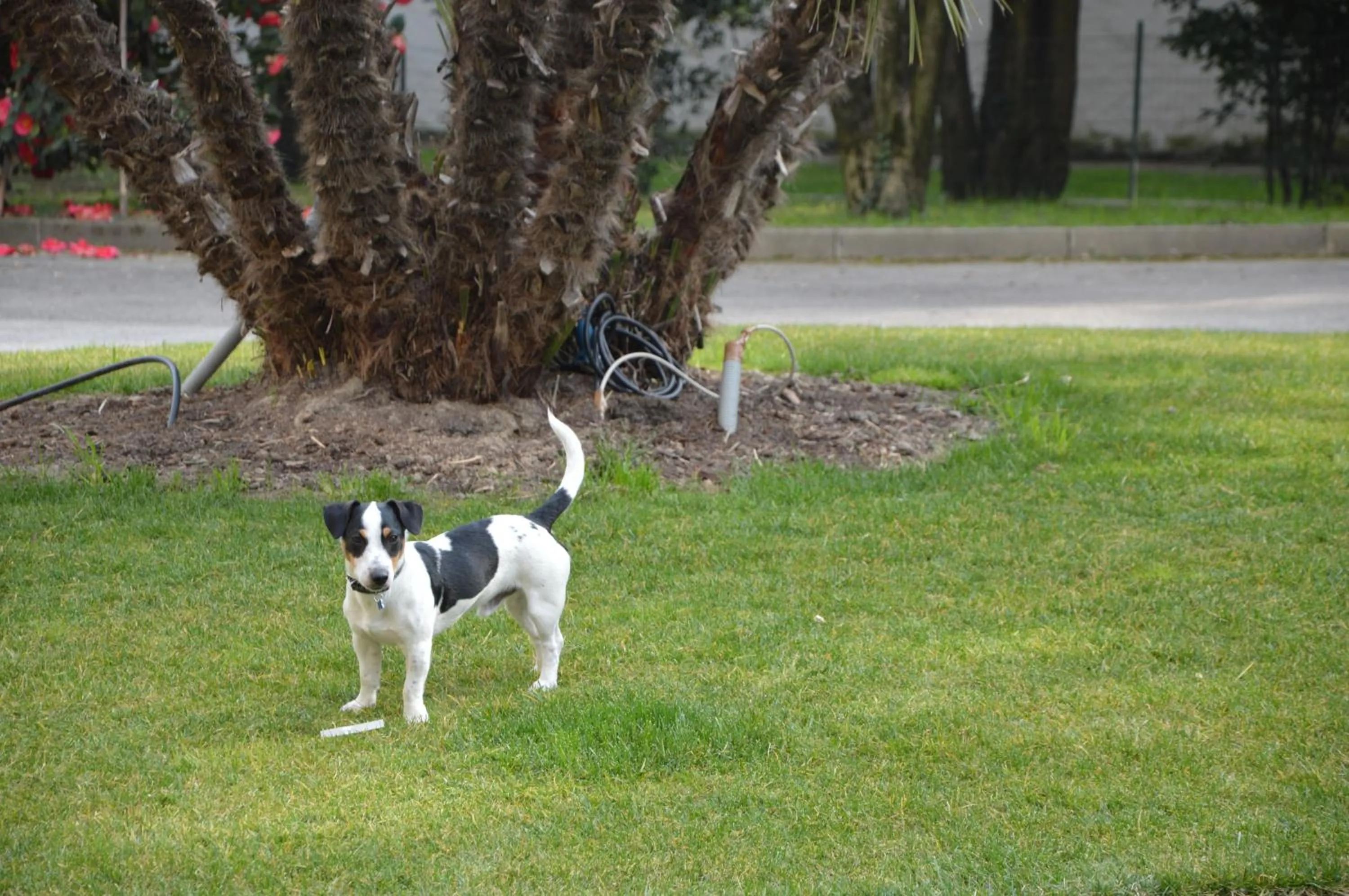 Day in Blue Dream Hotel