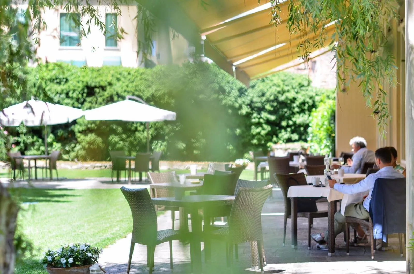 Garden in Blue Dream Hotel