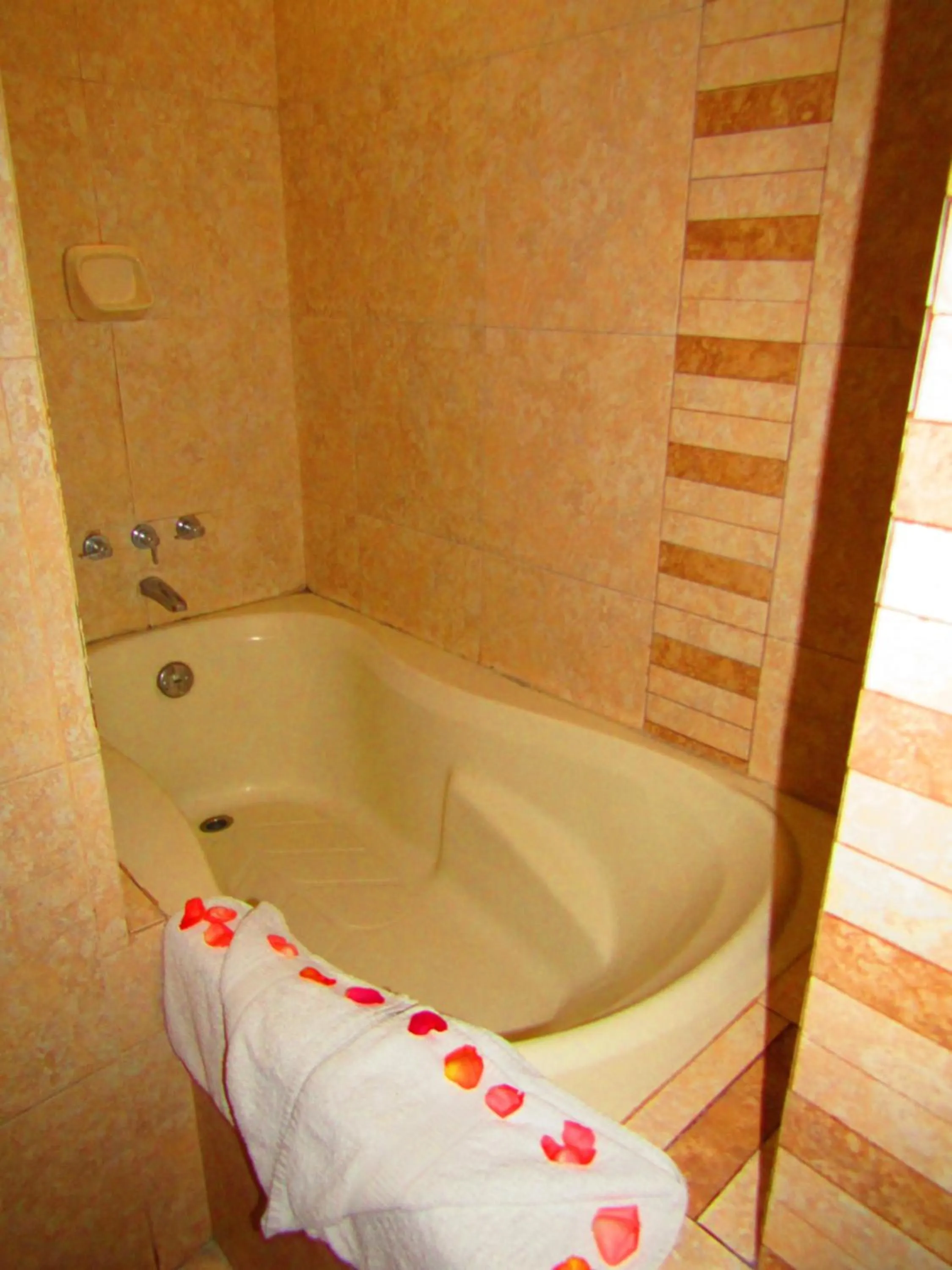 Toilet in Hotel Waynapicchu