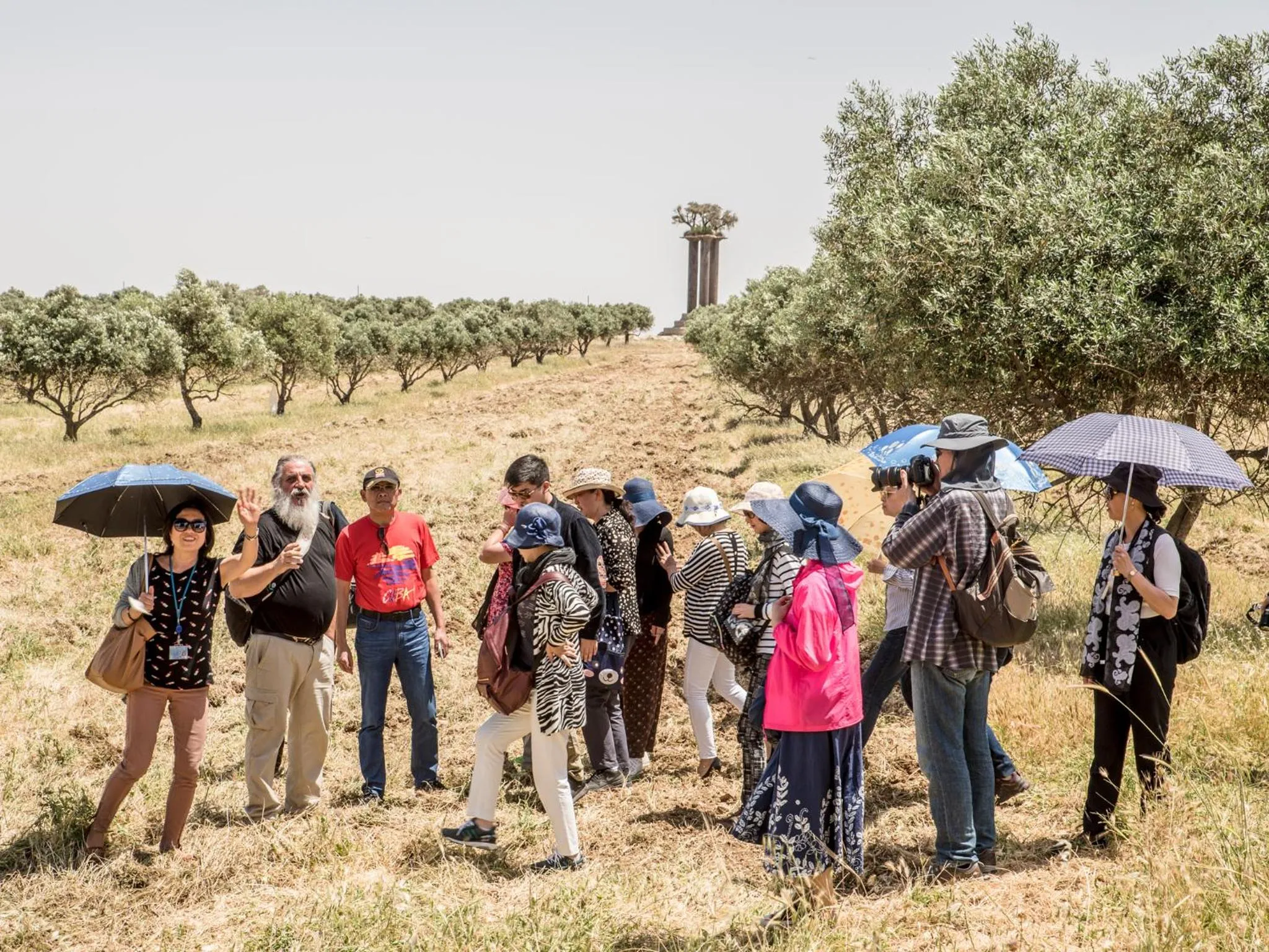 Activities in Ramat Rachel Resort