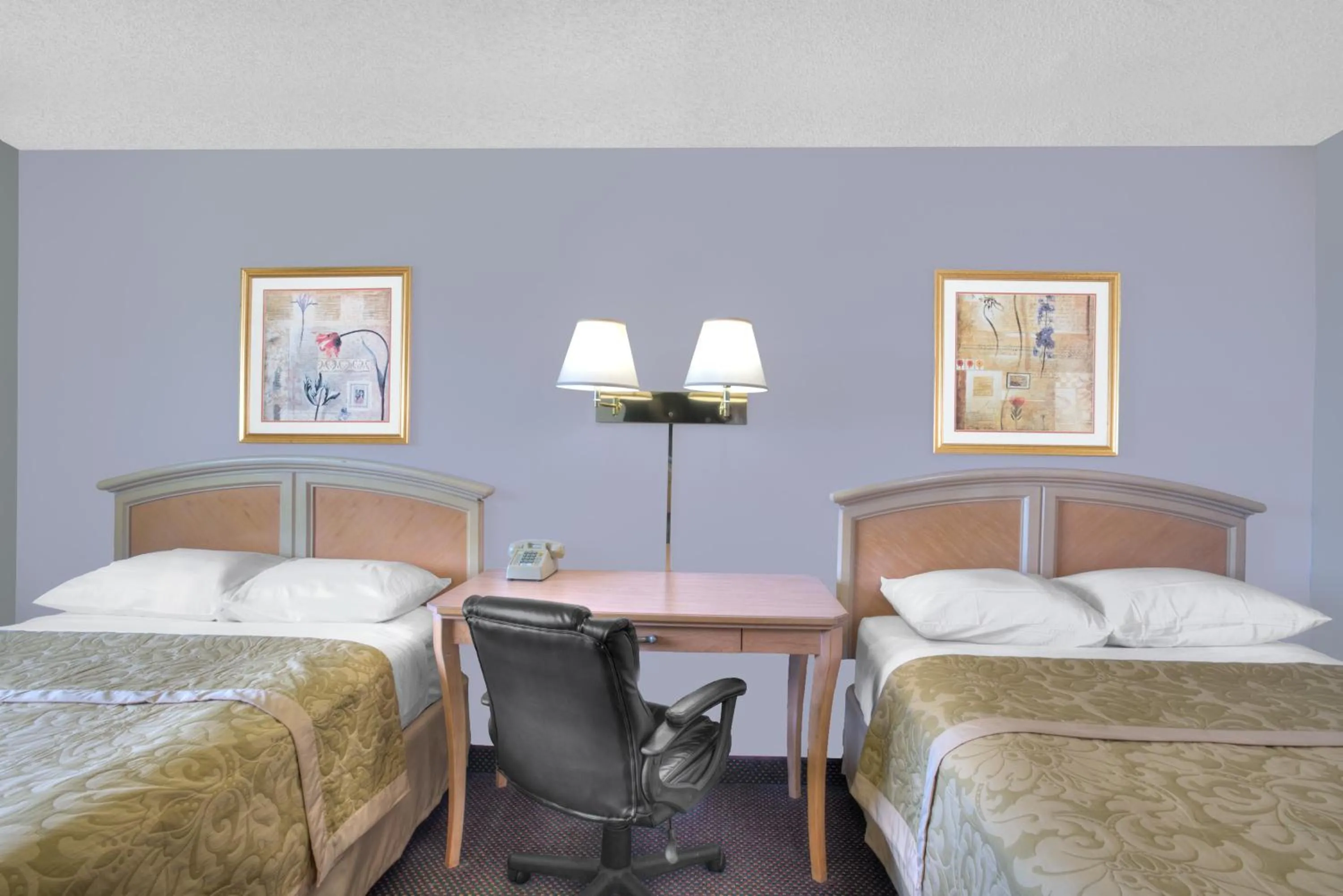 Bed in Super 8 by Wyndham Augusta