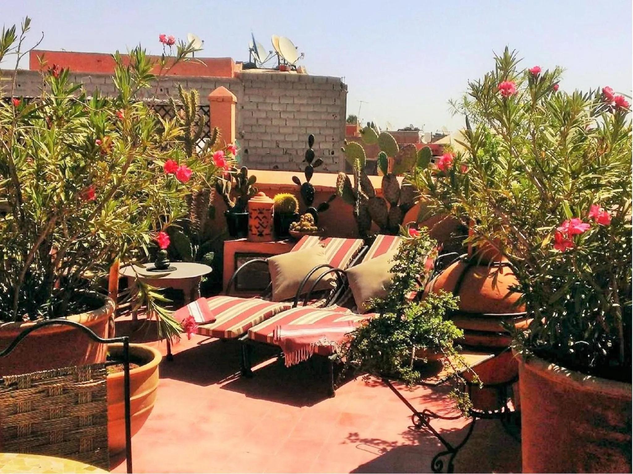 Balcony/Terrace in Riad Miski