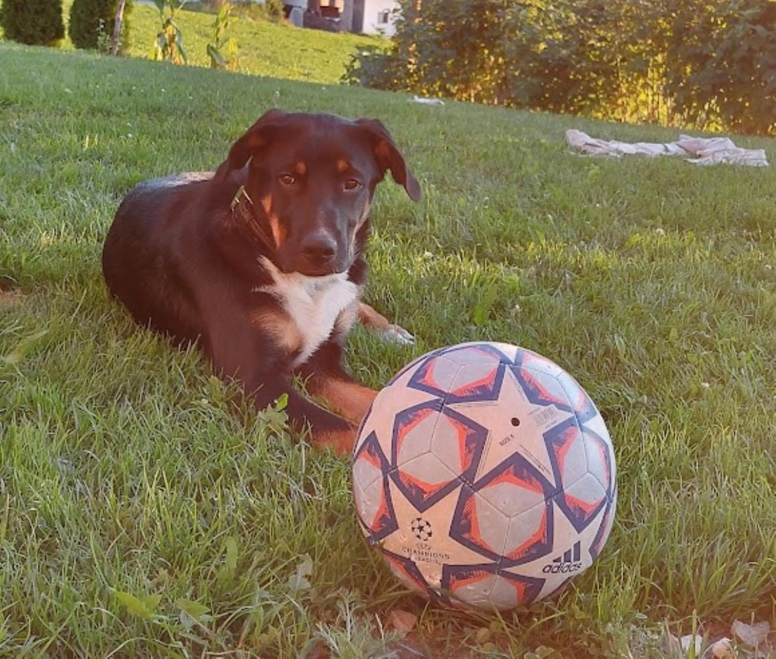 Property building in Residence Stefansdorf