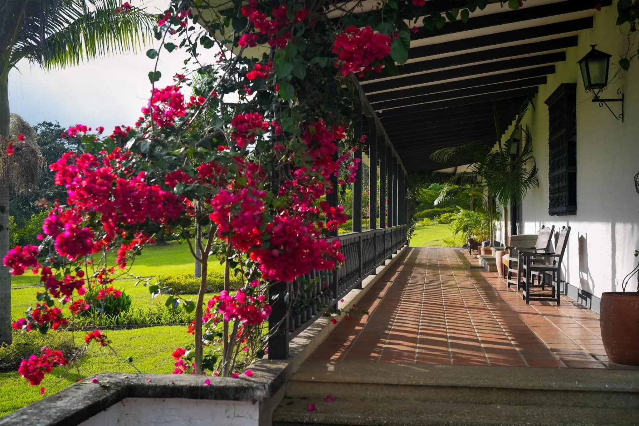 Garden in Hotel Hacienda Supracafe