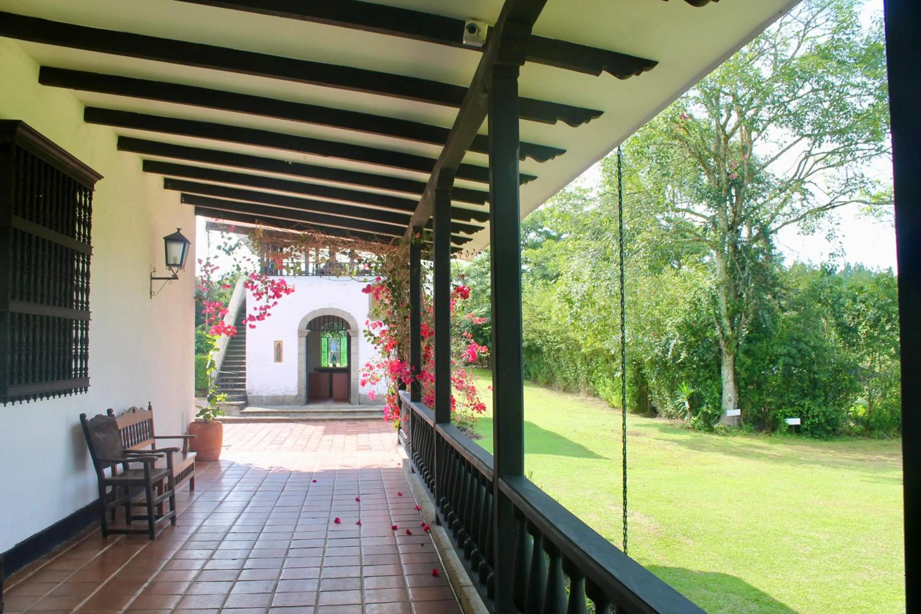 Garden in Hotel Hacienda Supracafe
