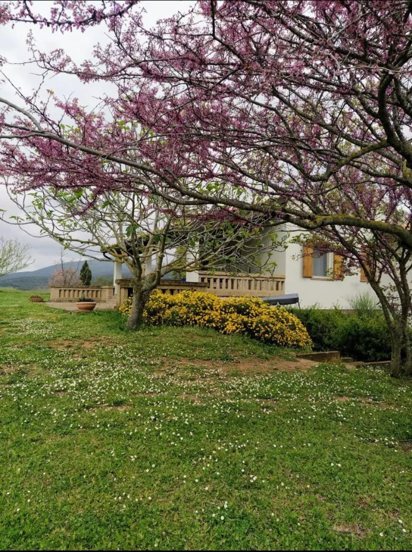 Casale Artemisia Capalbio