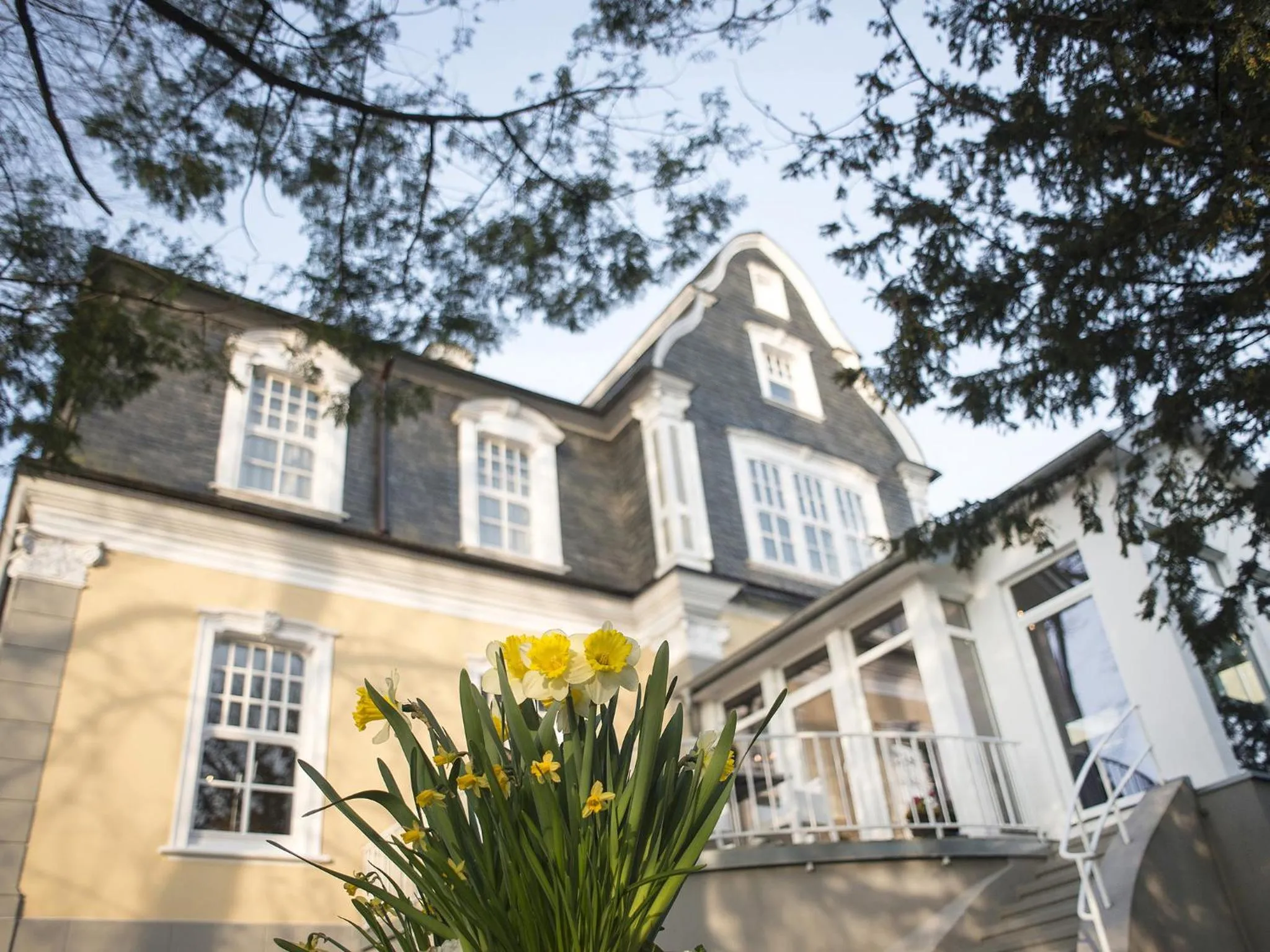 Patio in Park Villa Hotel